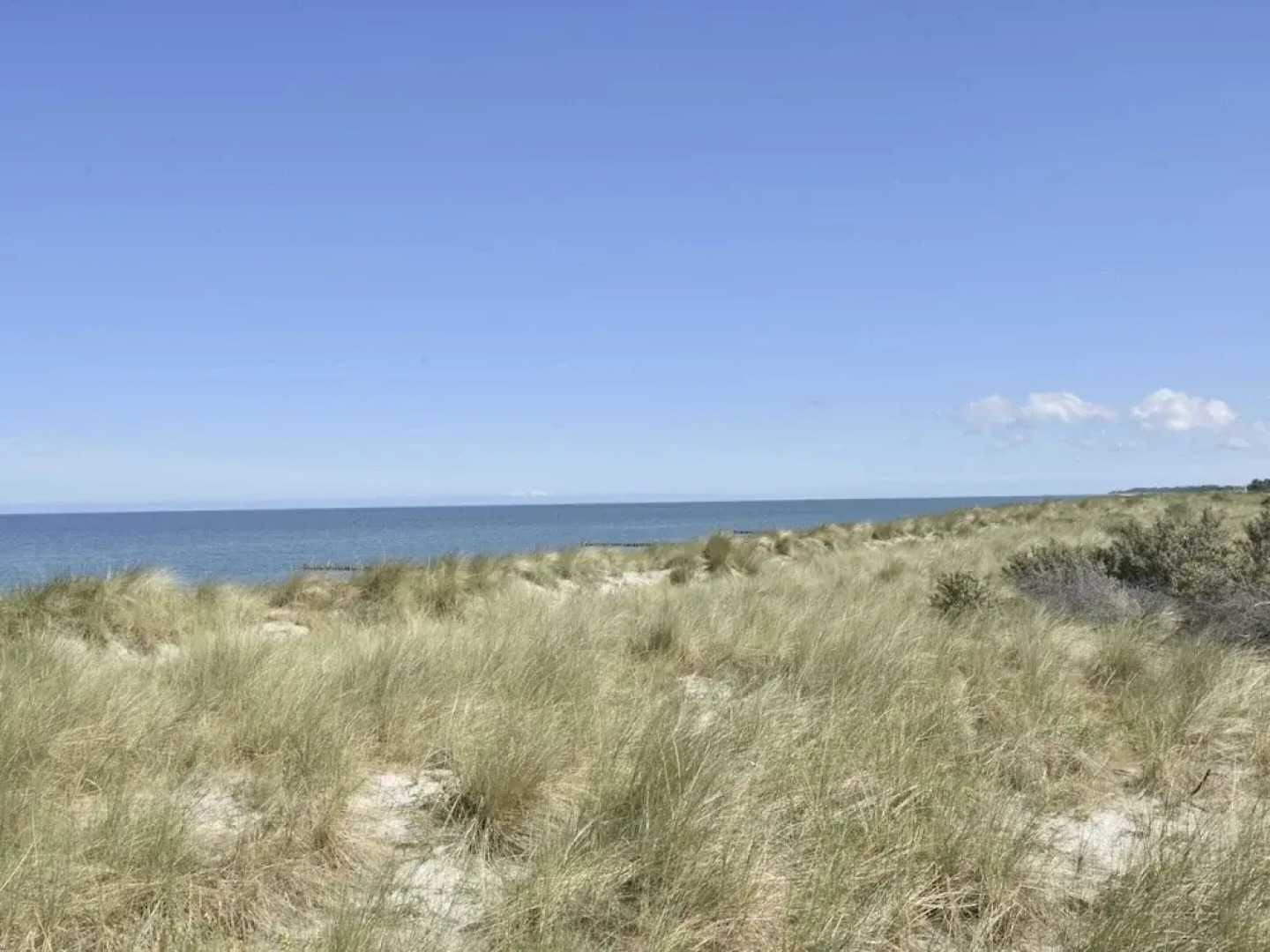 Ferienwohnung in Gross Kordshagen mit Garten