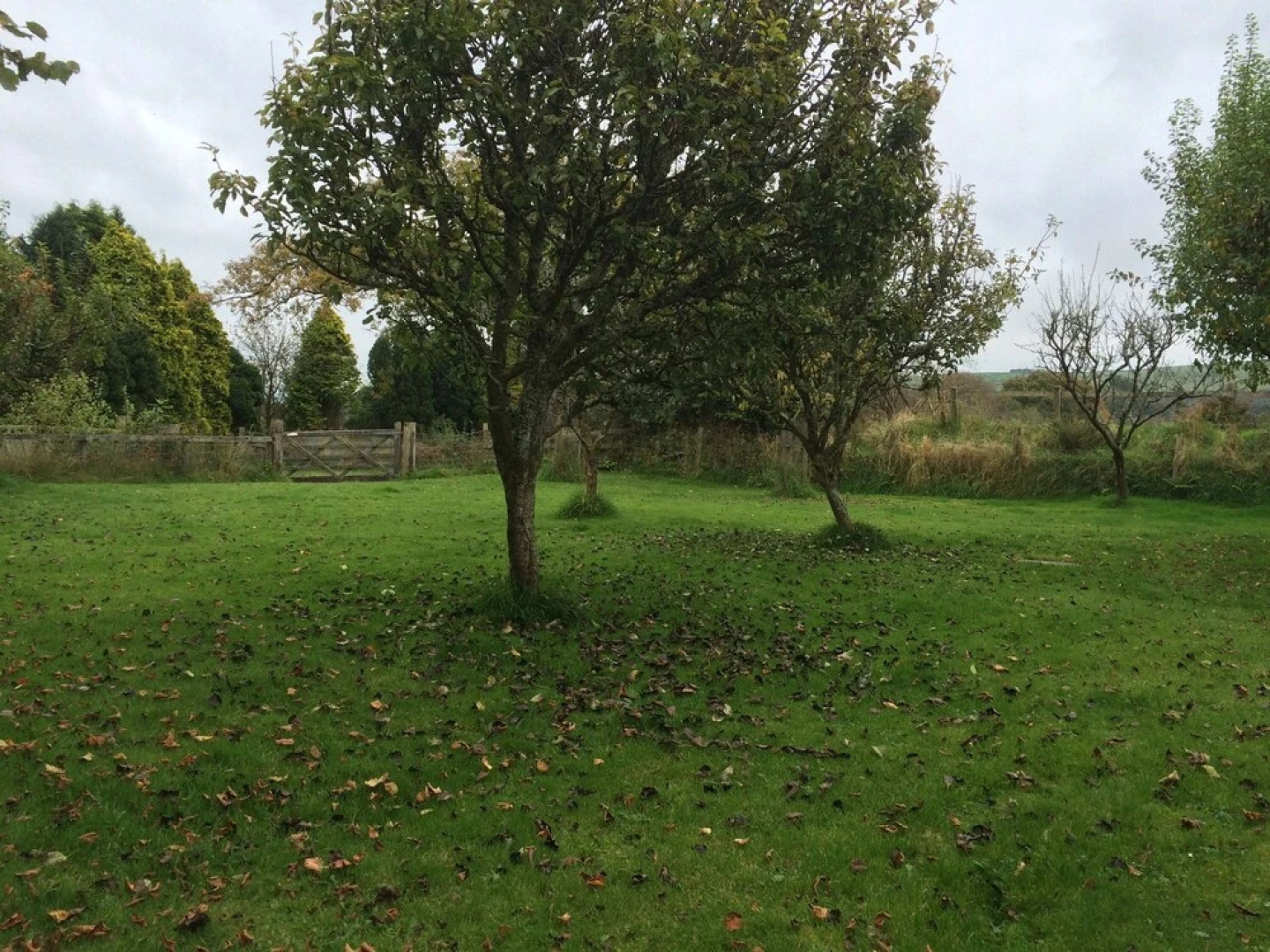 Blaencwm Bed and Breakfast