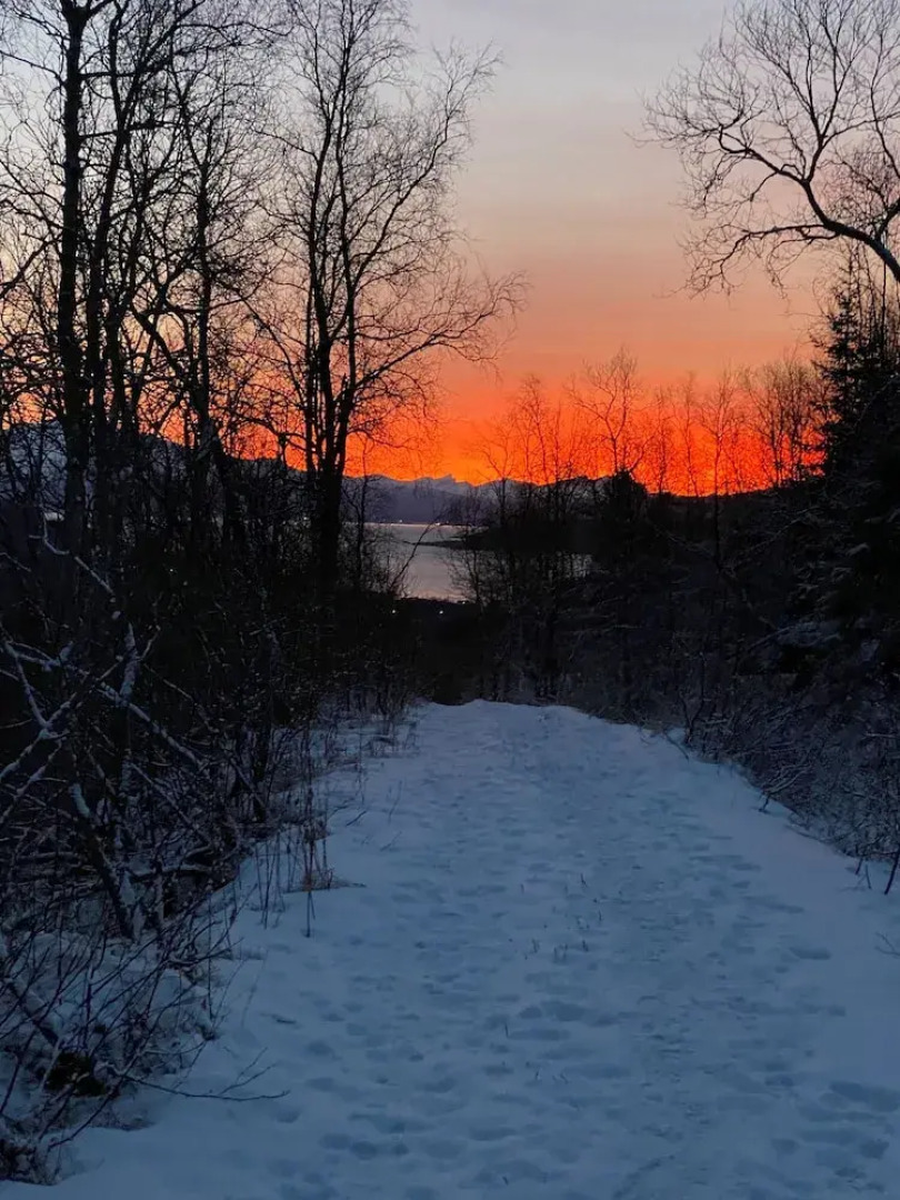 The house on the lake