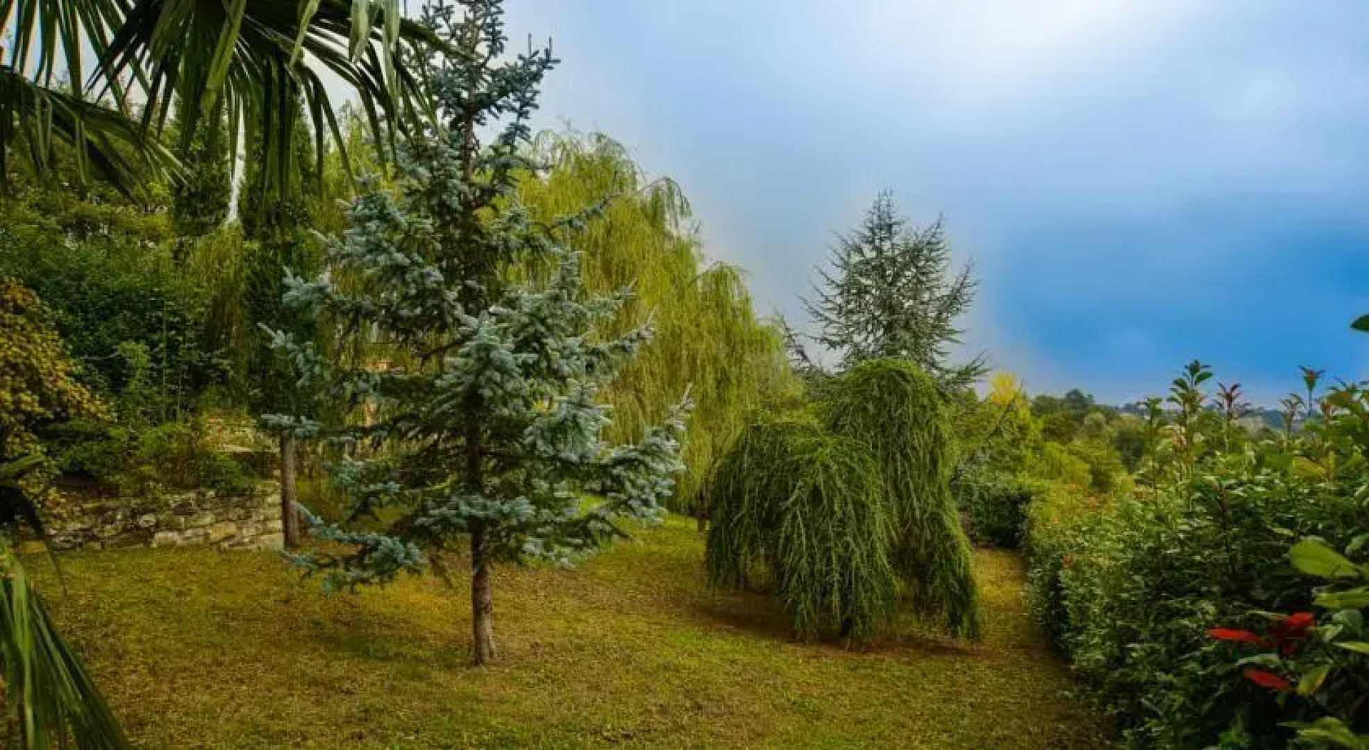 Guesthouse La Casa Del Conte