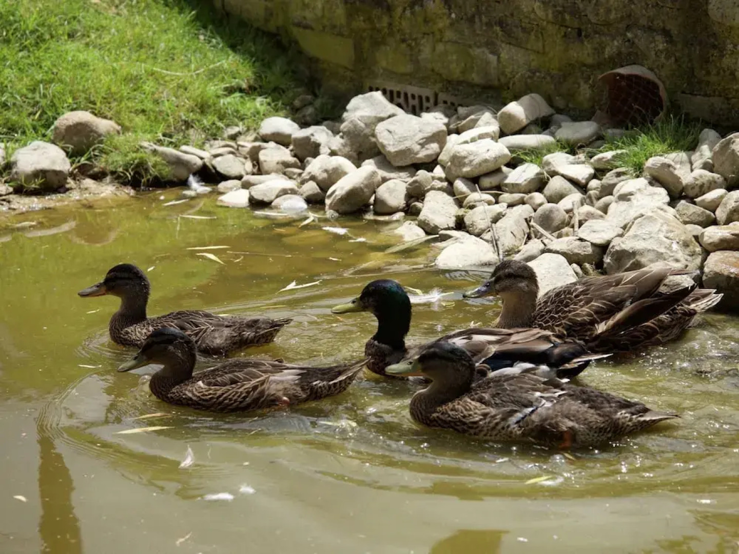 Cottage in Todi With Pool and Terrace