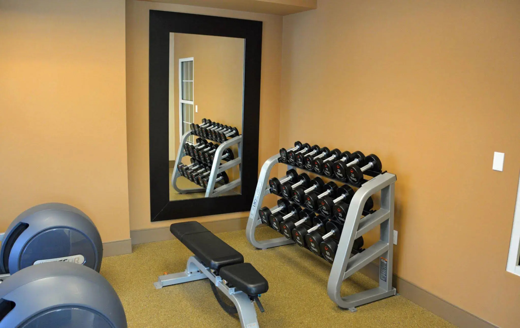 Homewood Suites by Hilton Albany