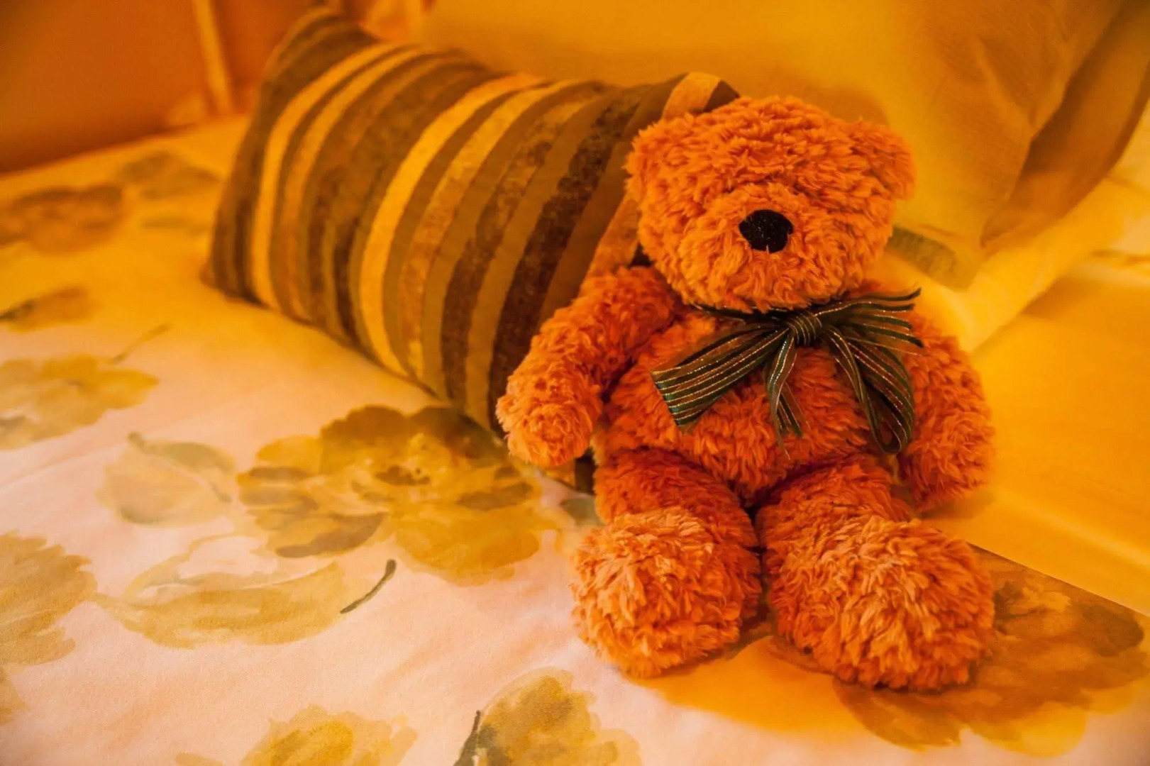 Tamborine Mountain B&B