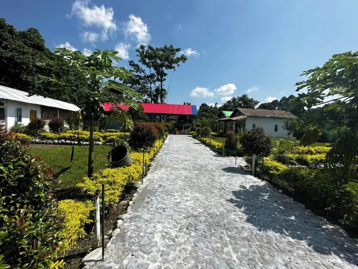 Falcon Jungle Resort