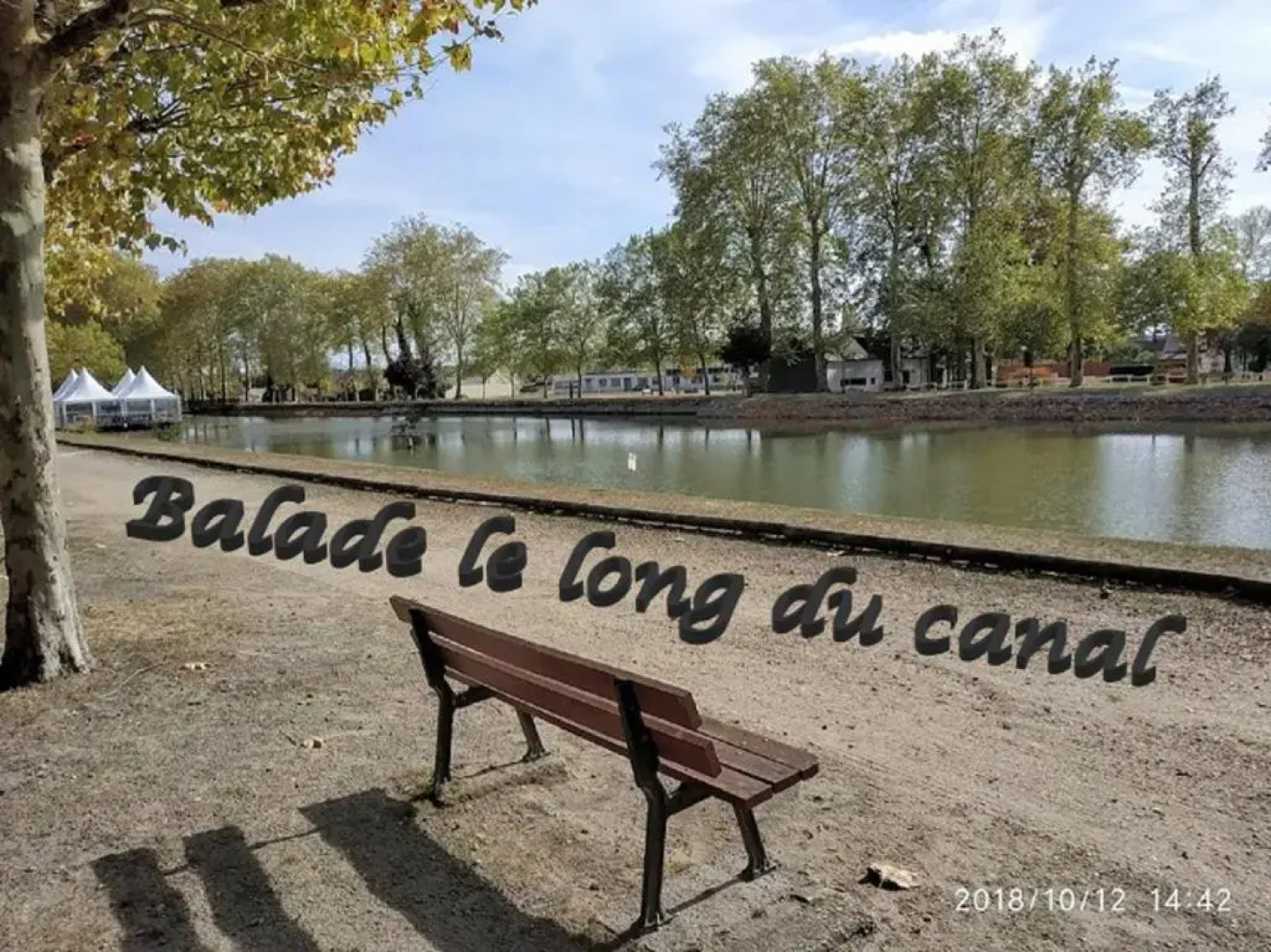 Tranquillité & indépendance au coeur de la sologne