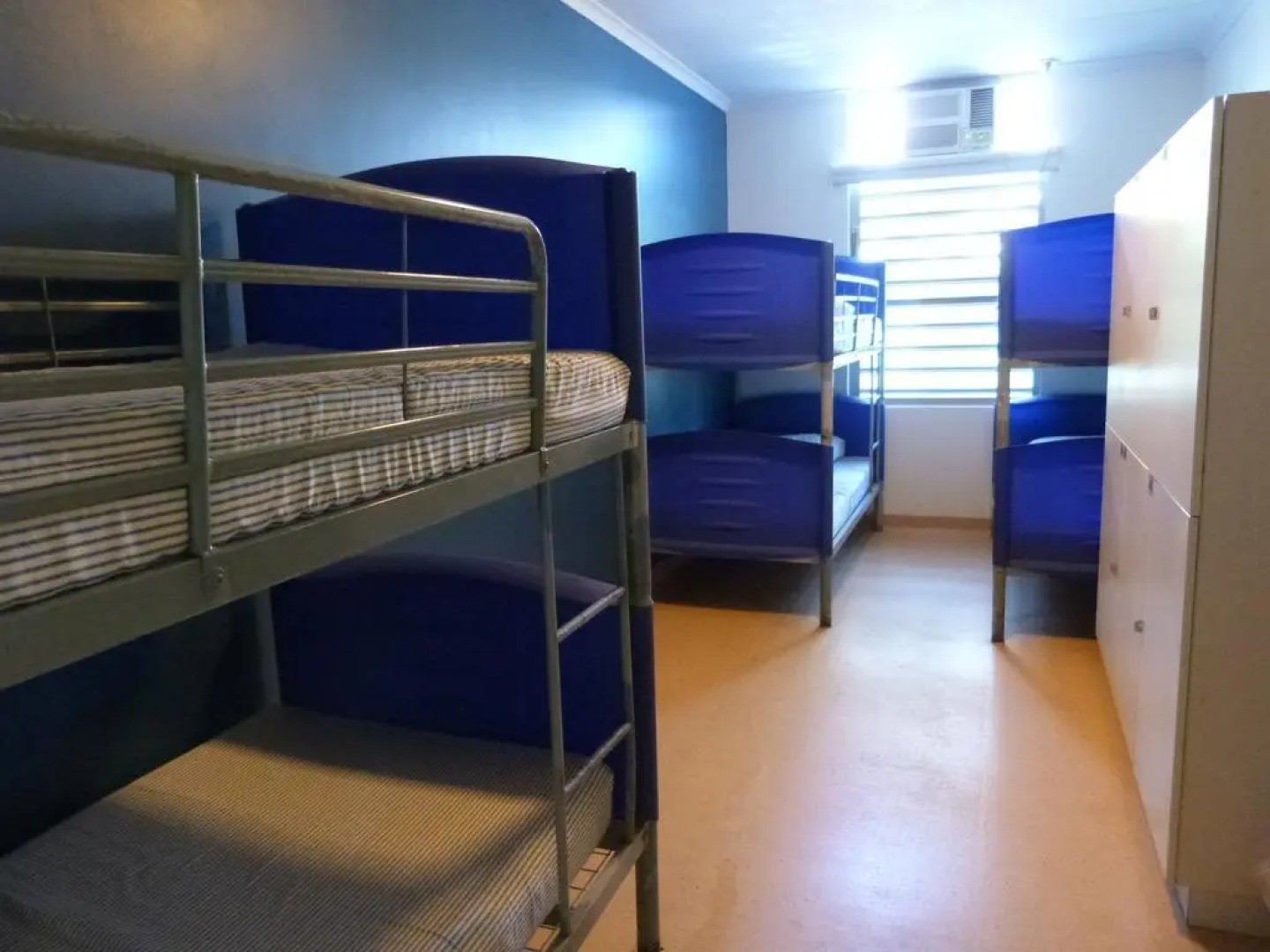 Melaleuca On Mitchell