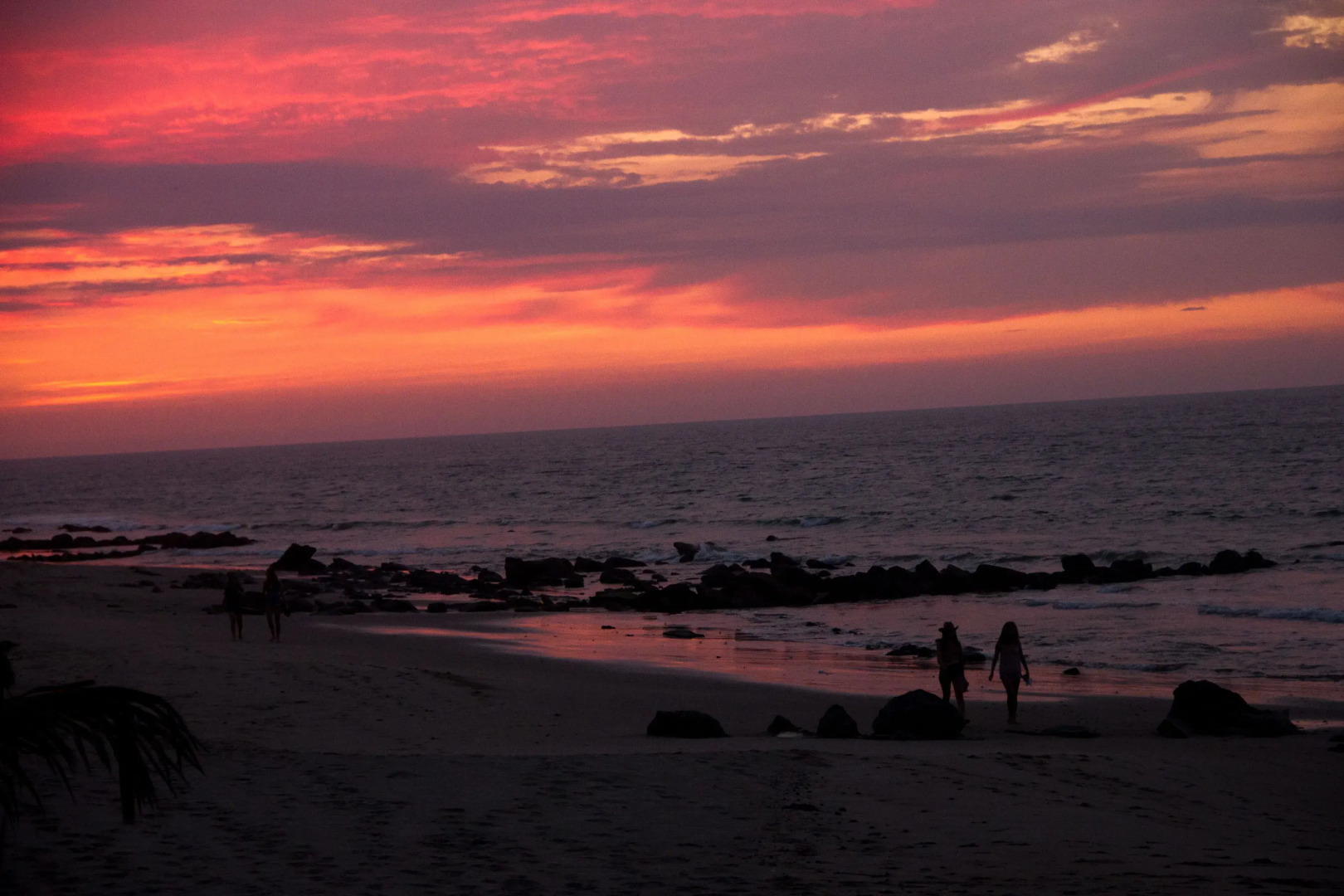 Hoja de Palma Bungalows