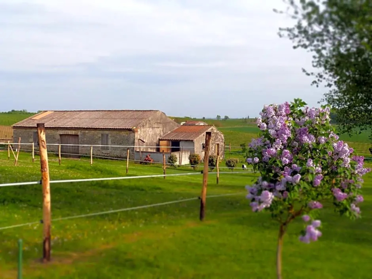 Chambres dhôtes Le Cartounier