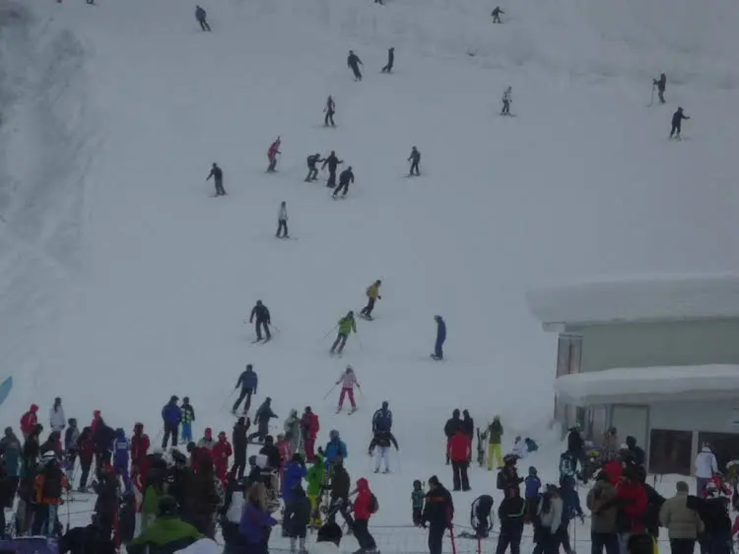 Studio in Hotel Flora Borovets