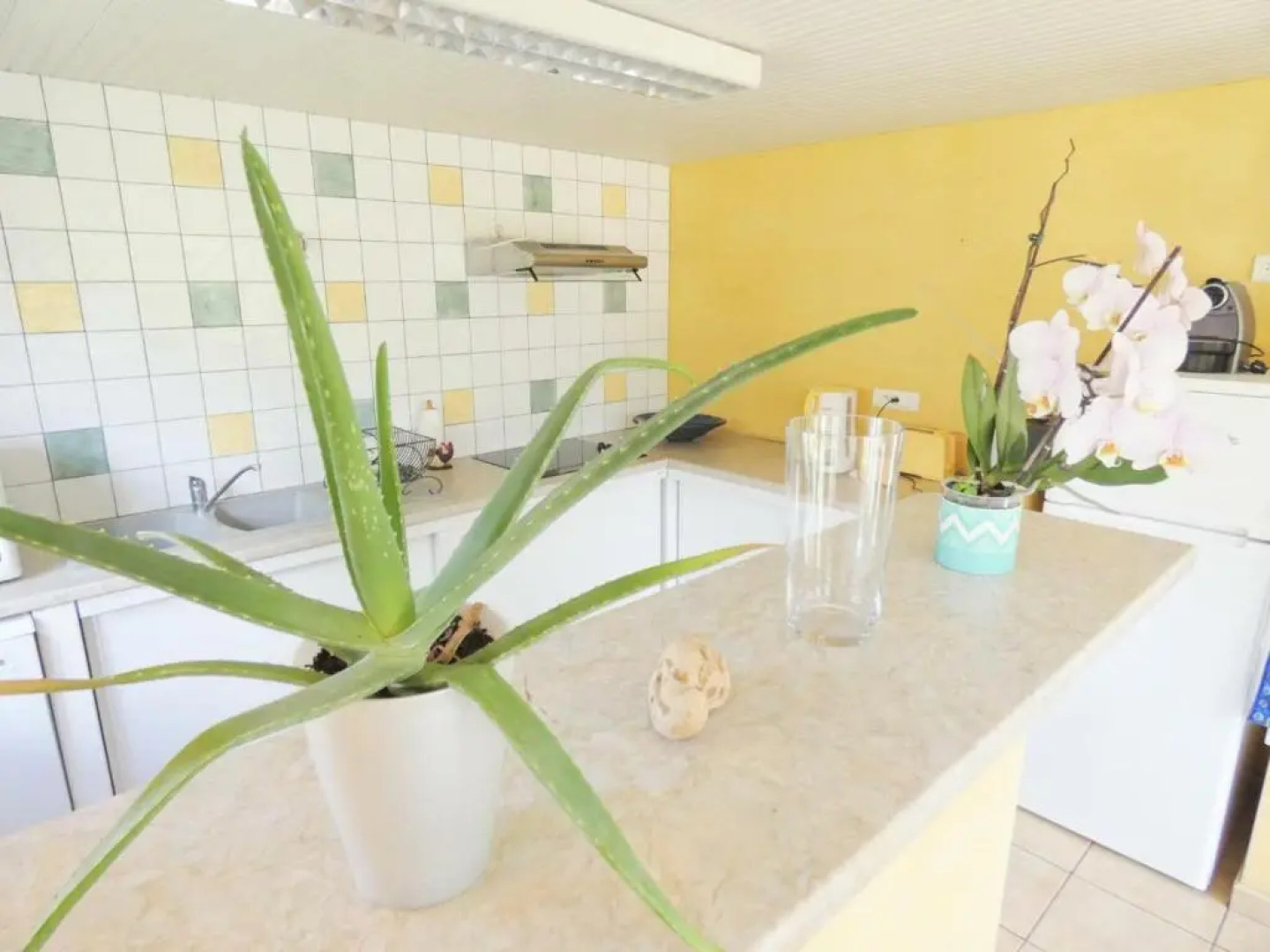 Gite Linxe, 4 pièces, 6 personnes - FR-1-360-633