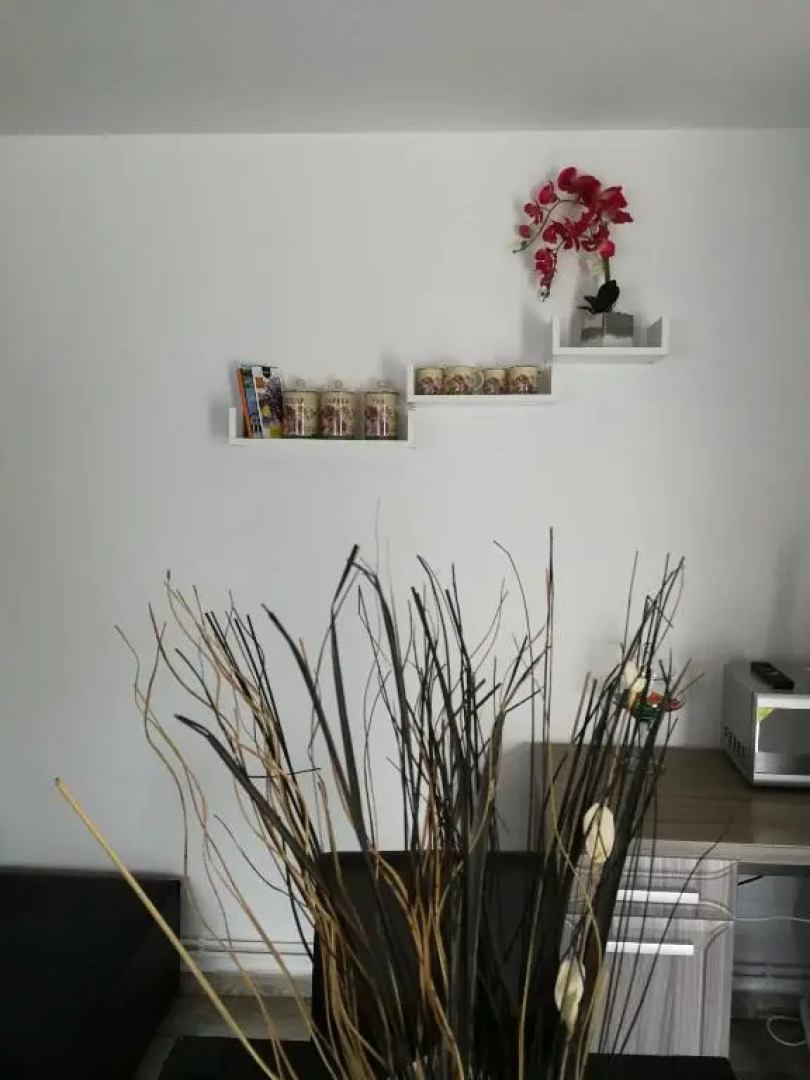 House Apartment Minerilor