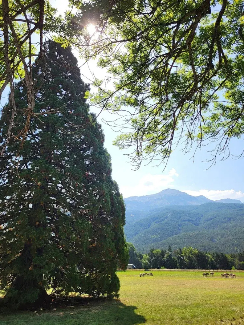 Mille100-47 - Ubaye Base Camp