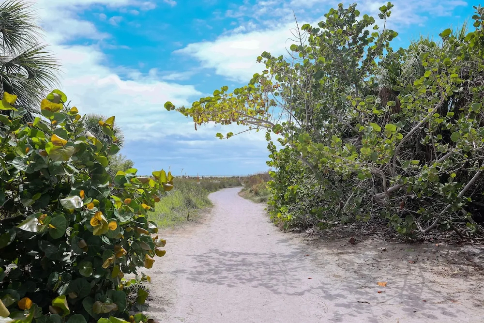 Siesta Key Beach Resort and Suites
