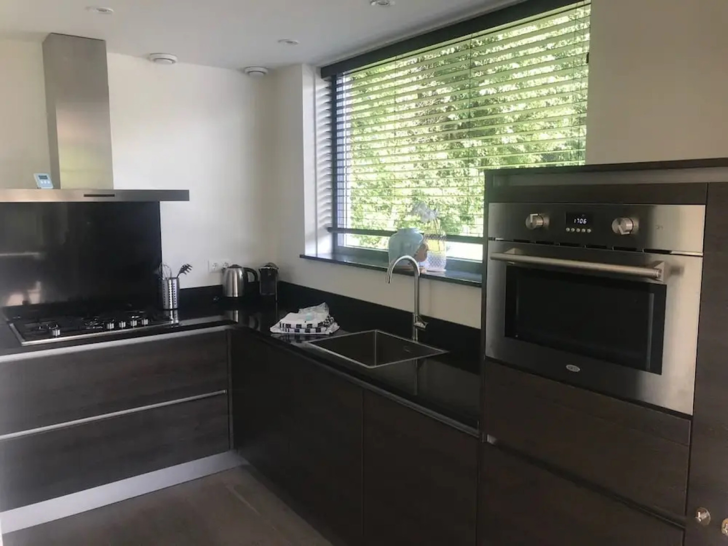 Reiger aan Zee Egmond