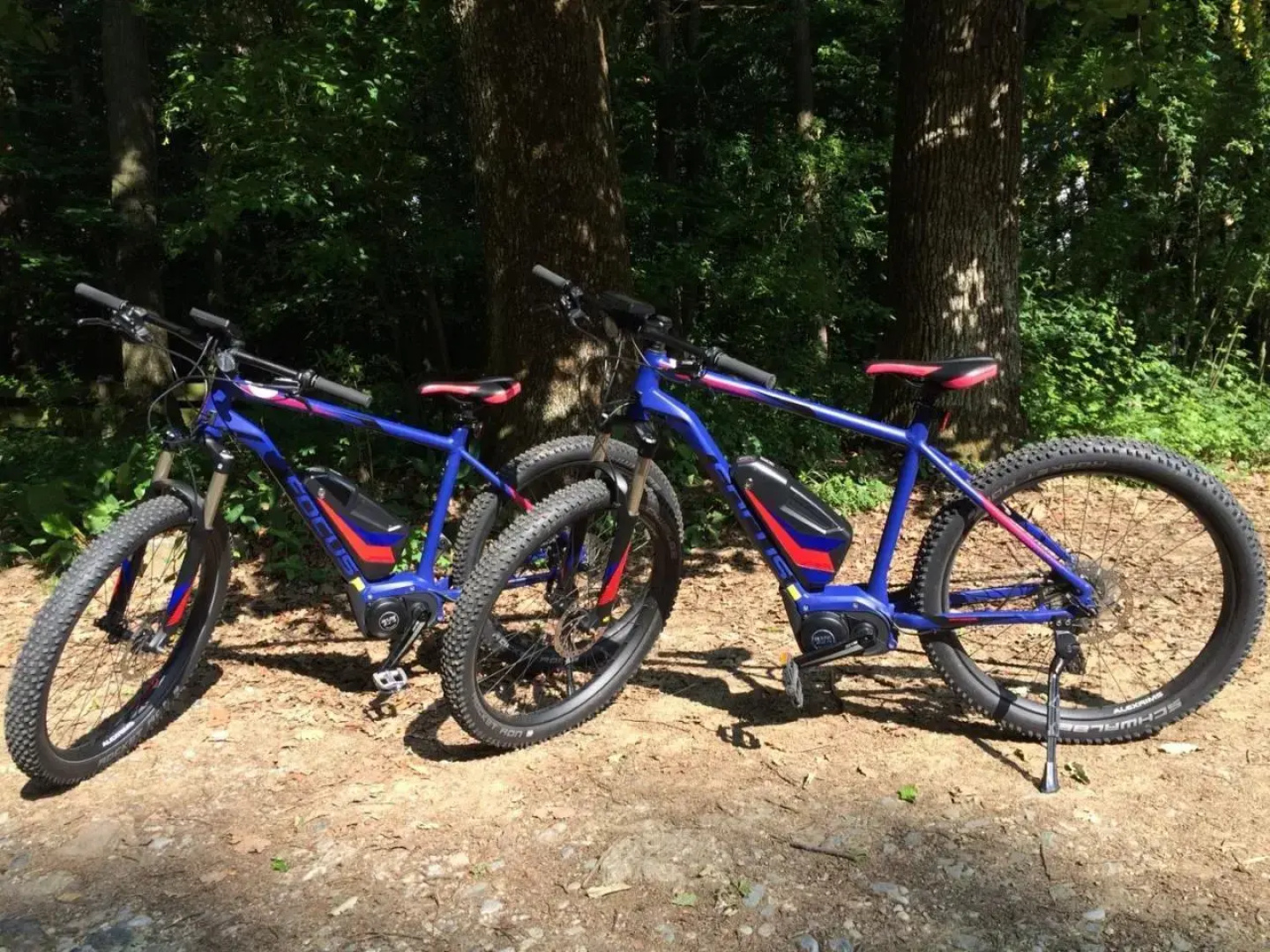 Waldfrühstückspension Familie Toth