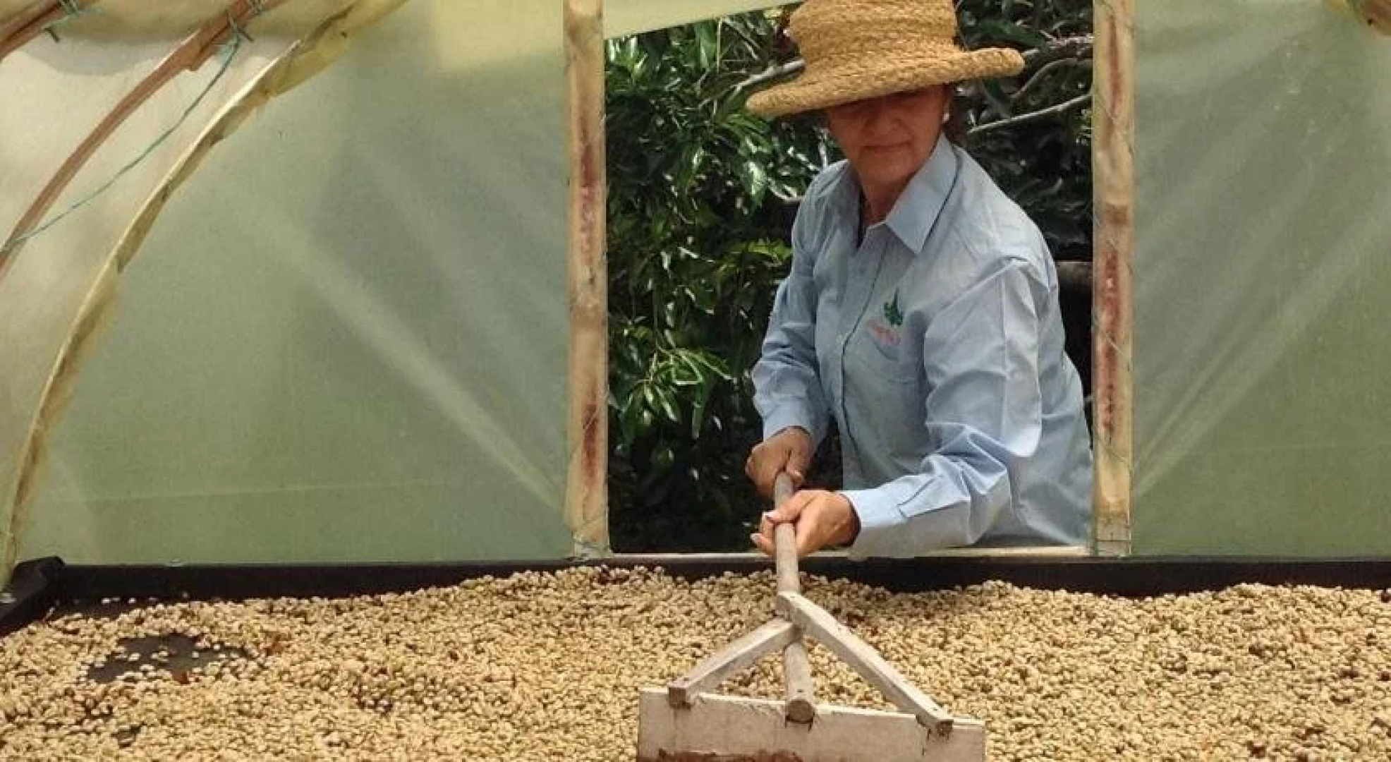 BRUGMANSIA country hotel