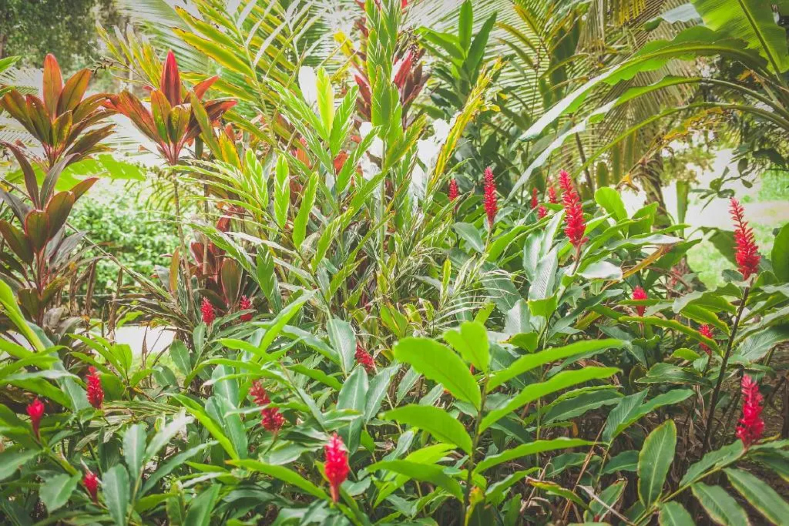 Tesoro Escondido Lodge Cabinas