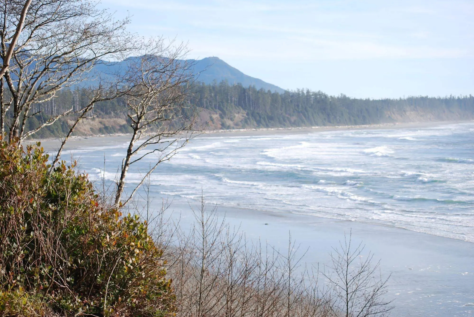 Pacific Drift Inn