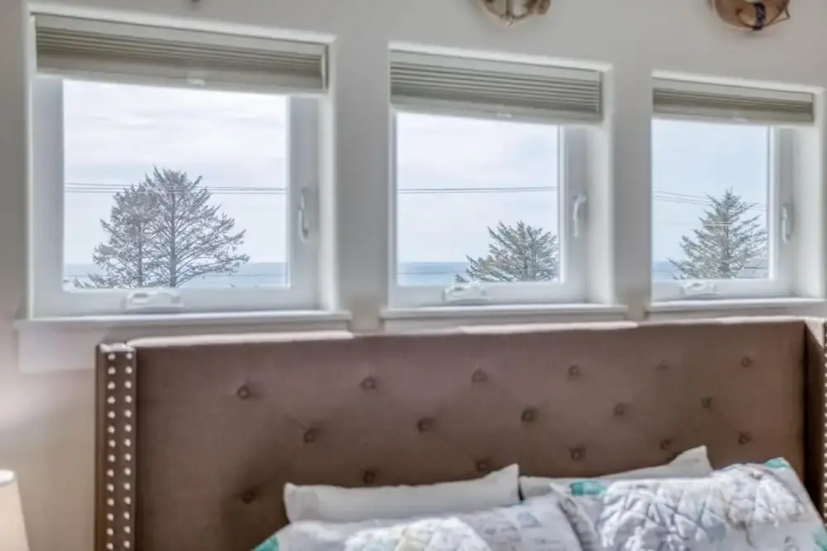 Whale Tale and Arcade