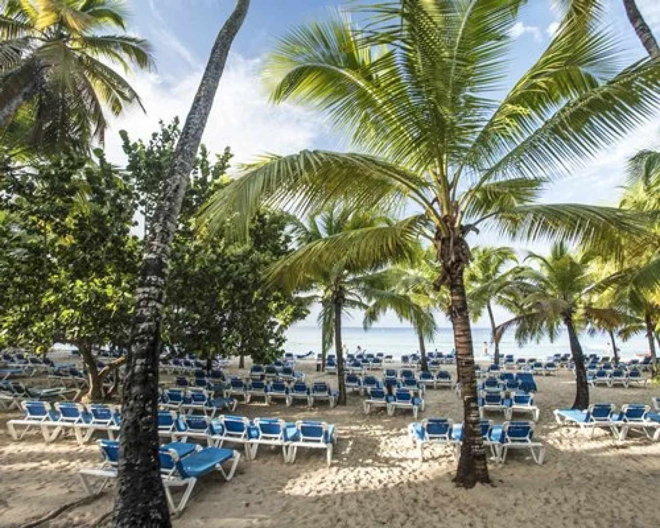 Viva Dominicus Beach by Wyndham, A Trademark All Inclusive