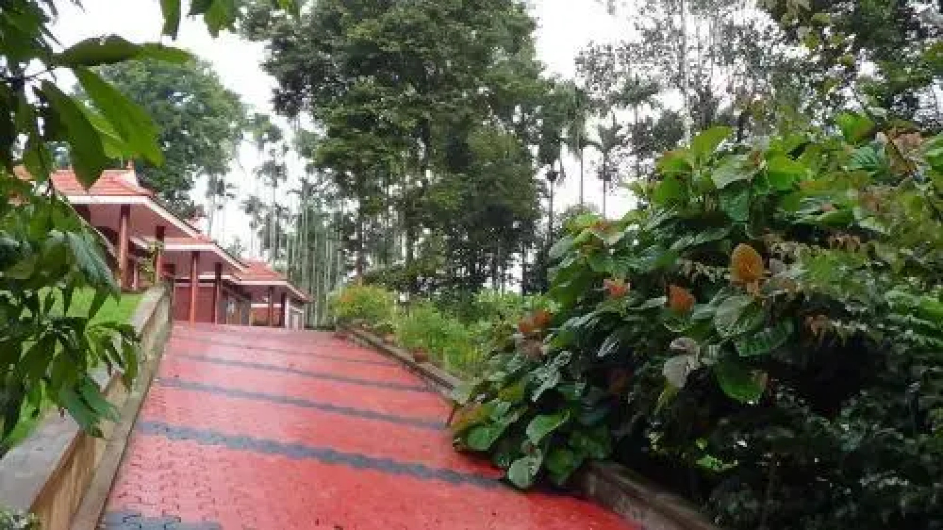 Pappys Nest Holiday Resort