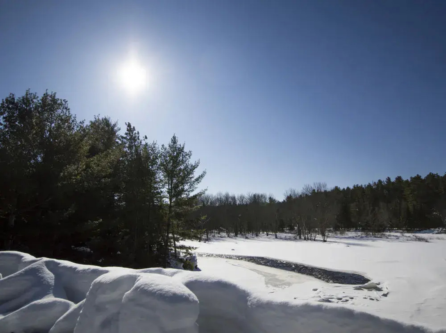 The Canadian Ecology Centre