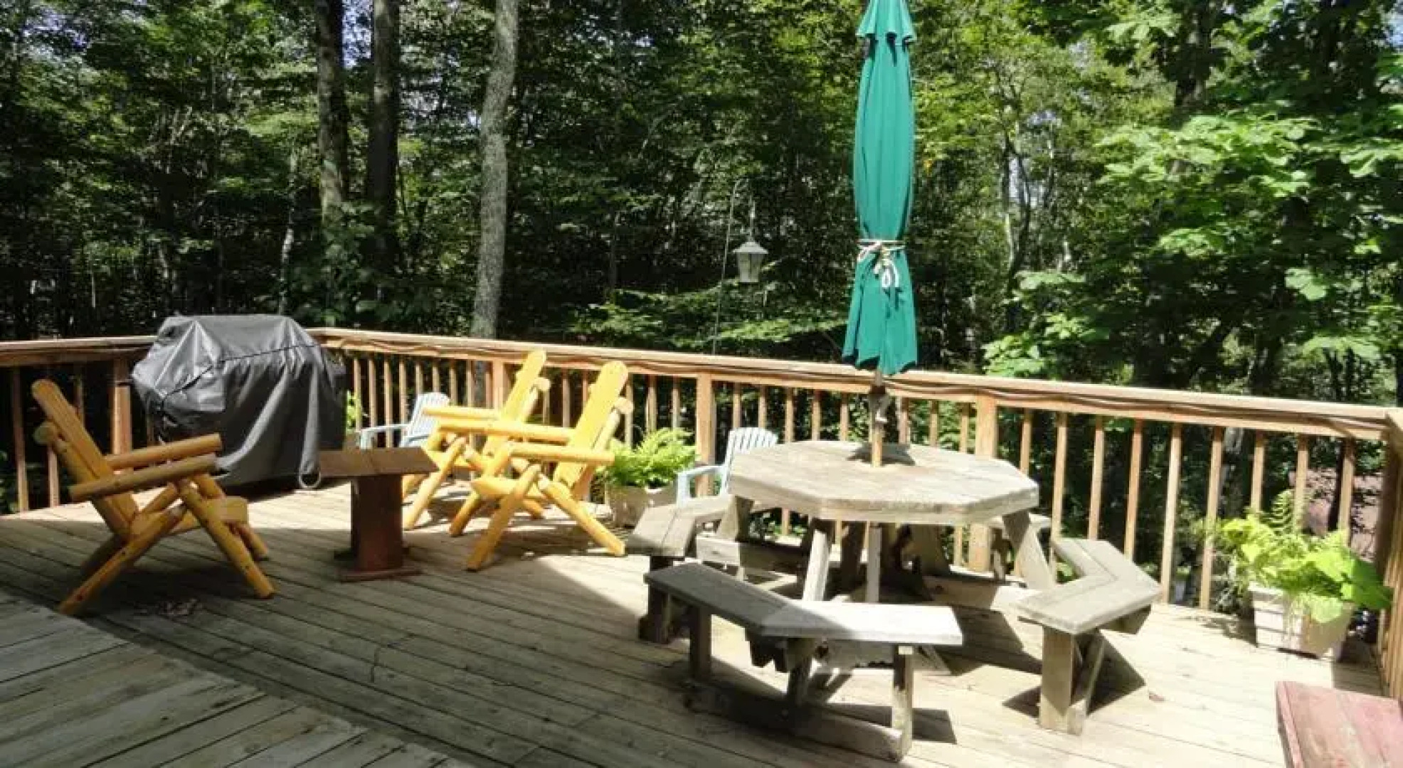 Cabin Fever by VCI Real Estate Services