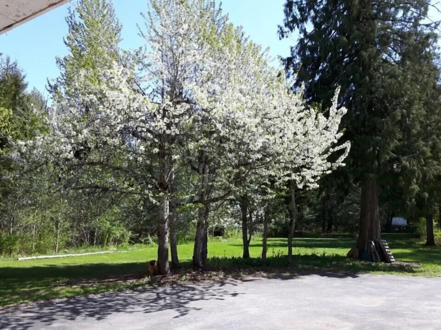 The Hitching Post Motel