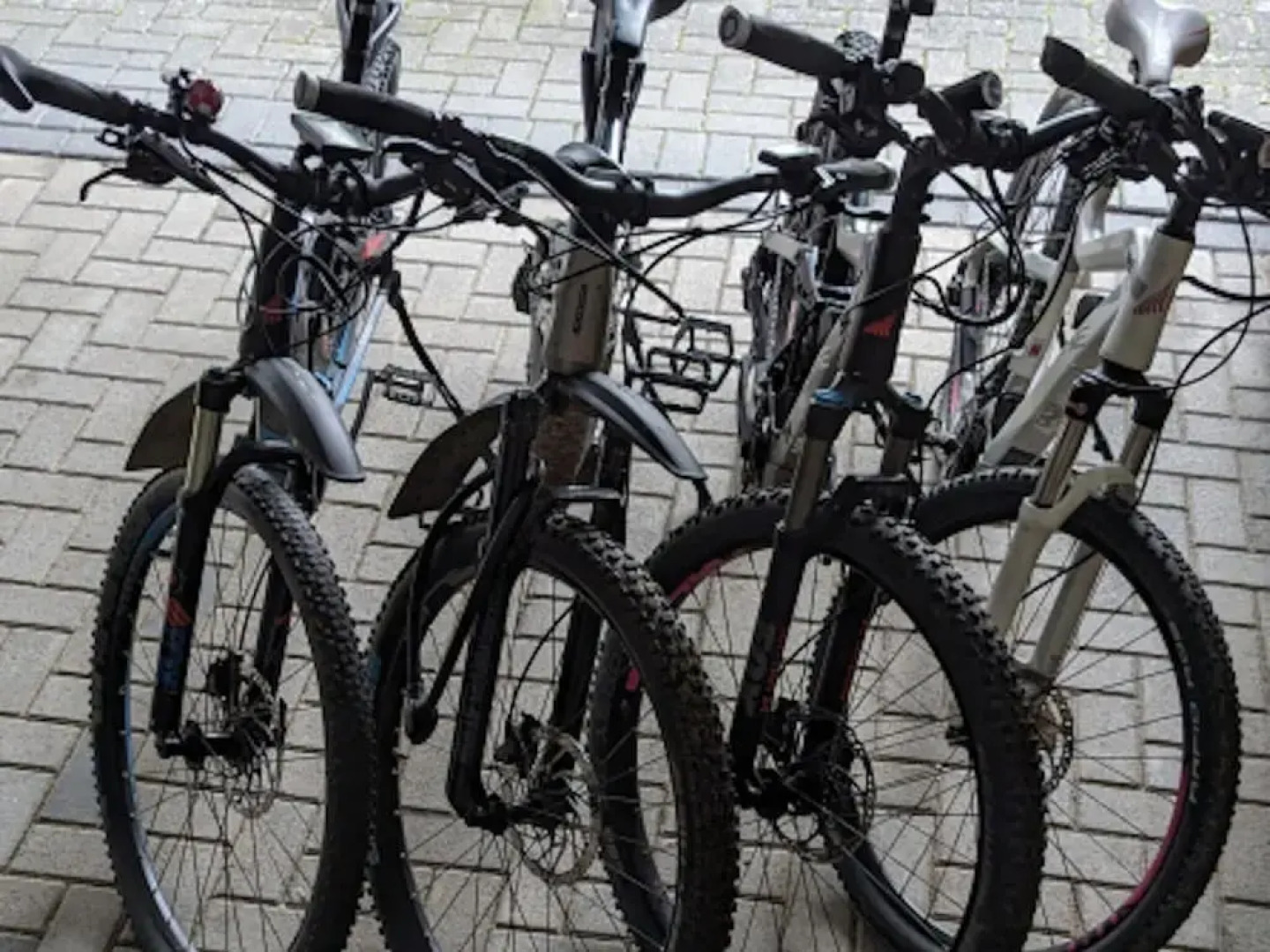 Apartment in Bad Wunnenberg Near Ski Willingen