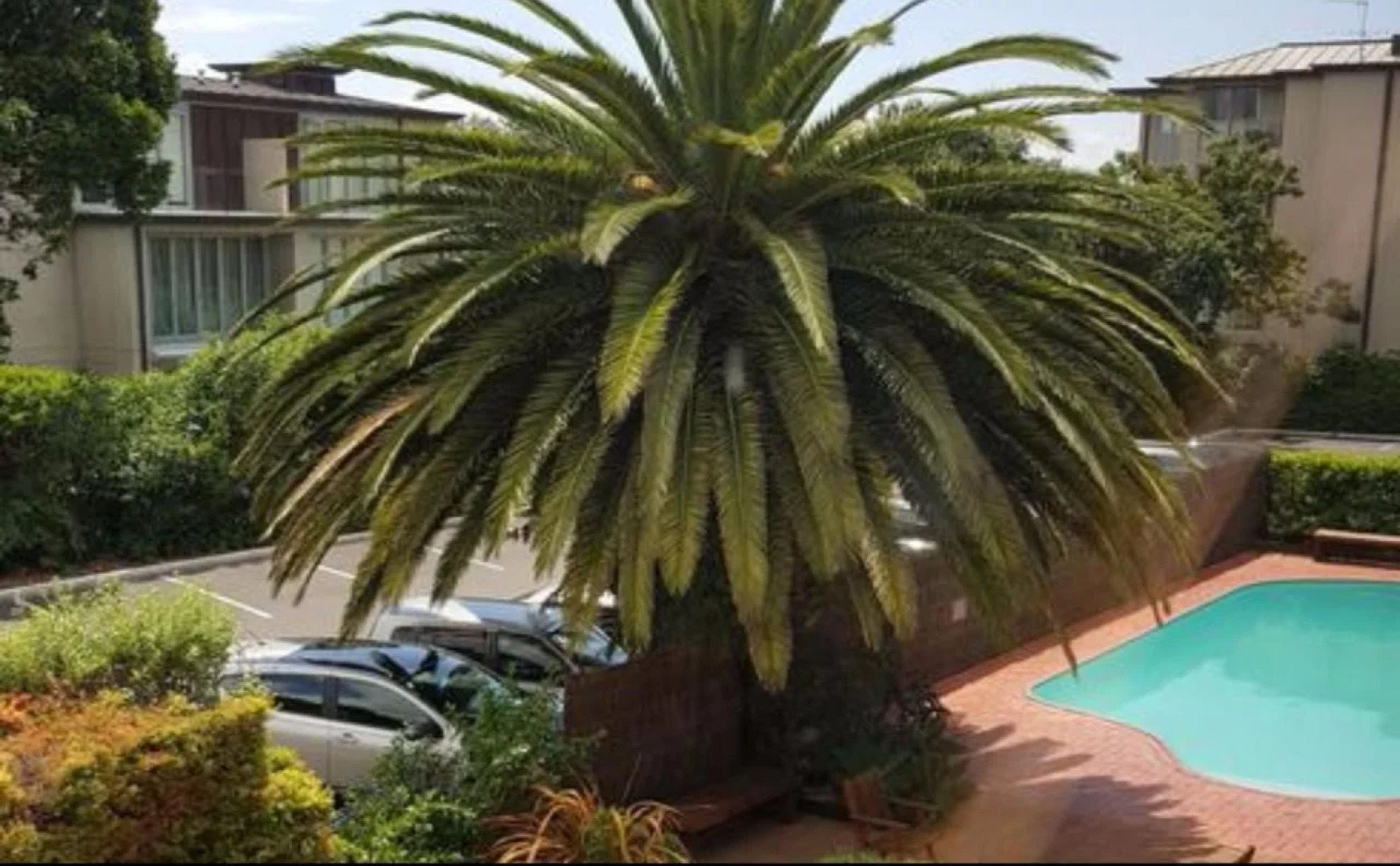 Auckland Rose Park Hotel