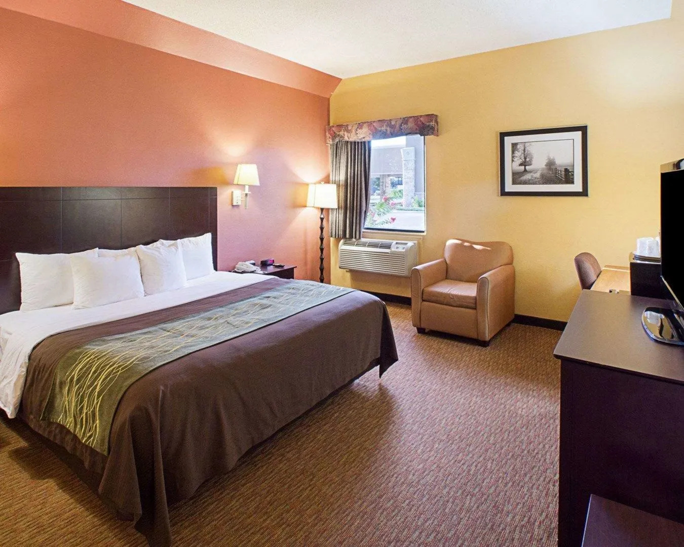 Shary Inn and Suites