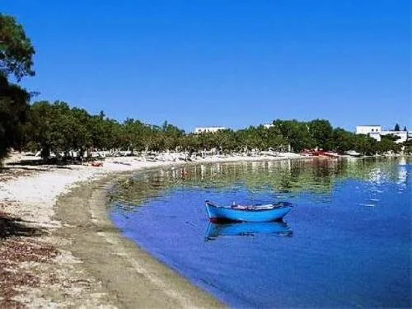 Studios Pansion Stella