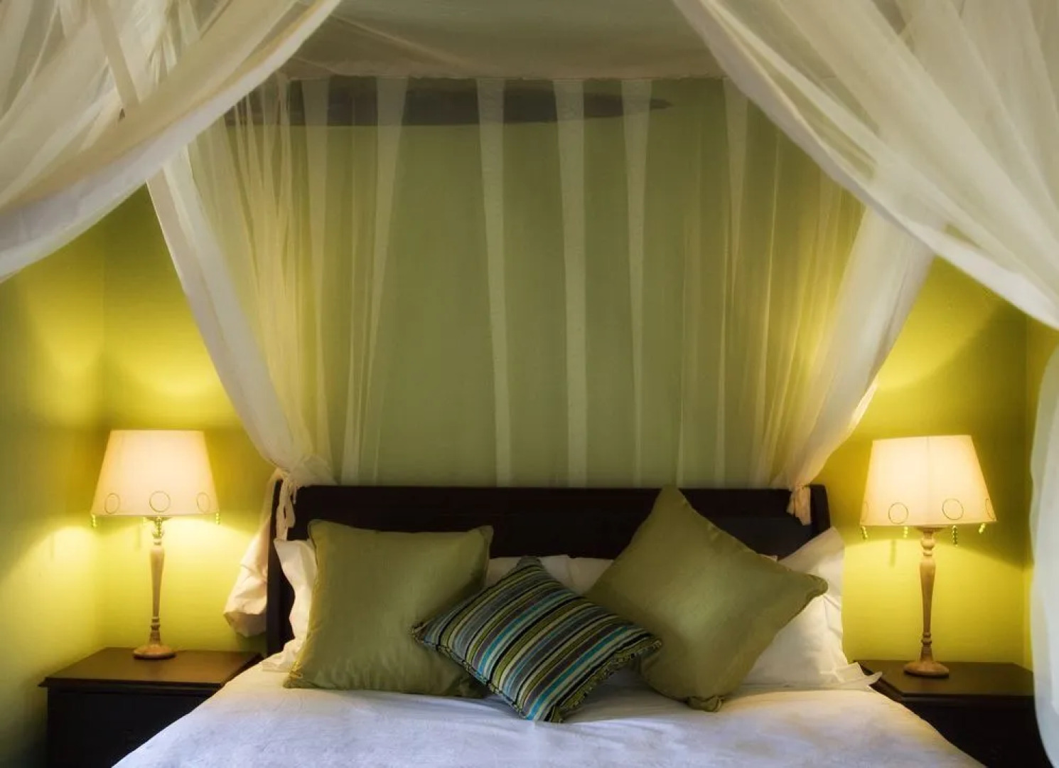 Thatch and Thorn Guest House