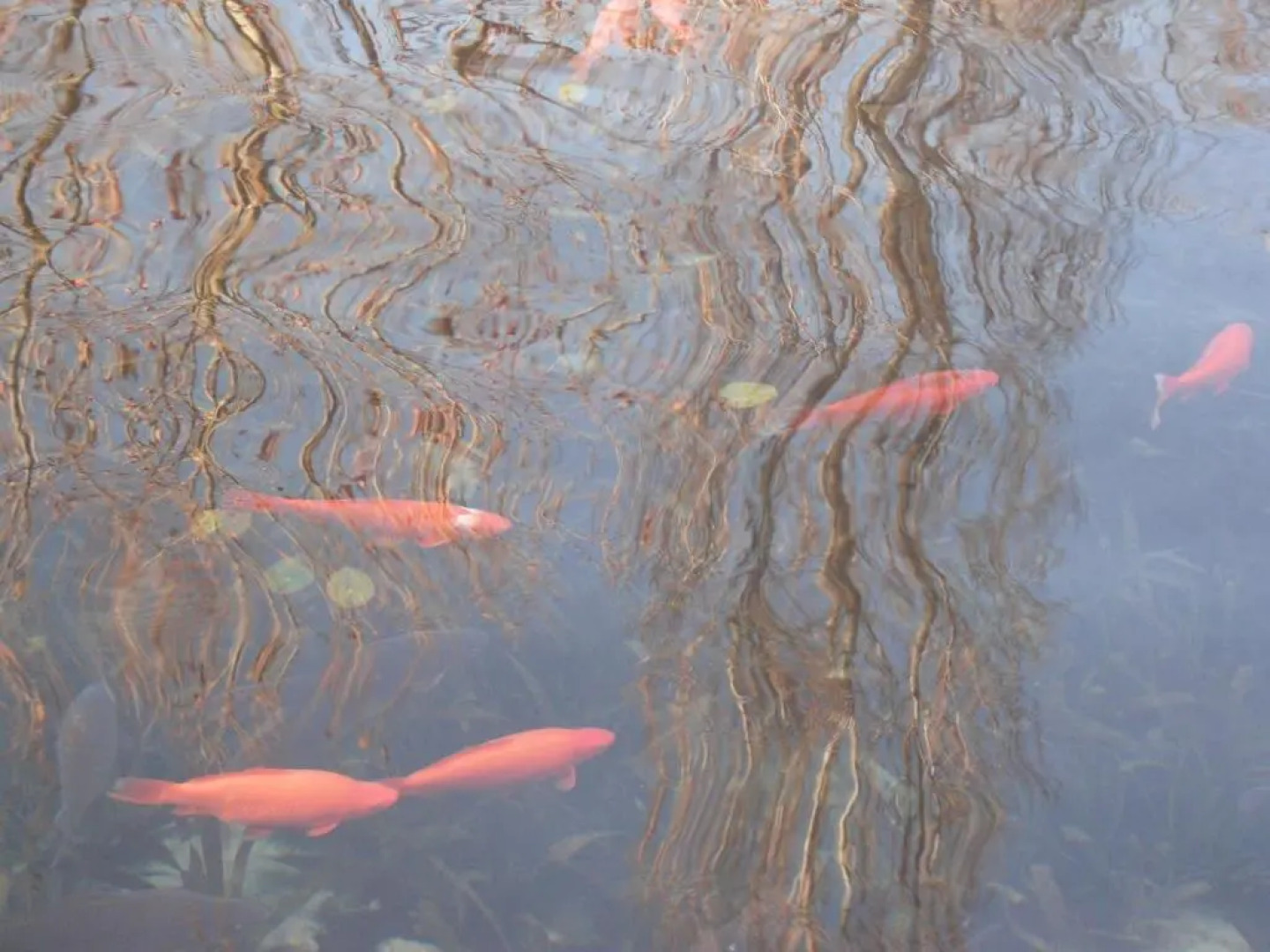 Tavas Barlang Apartman Tapolca