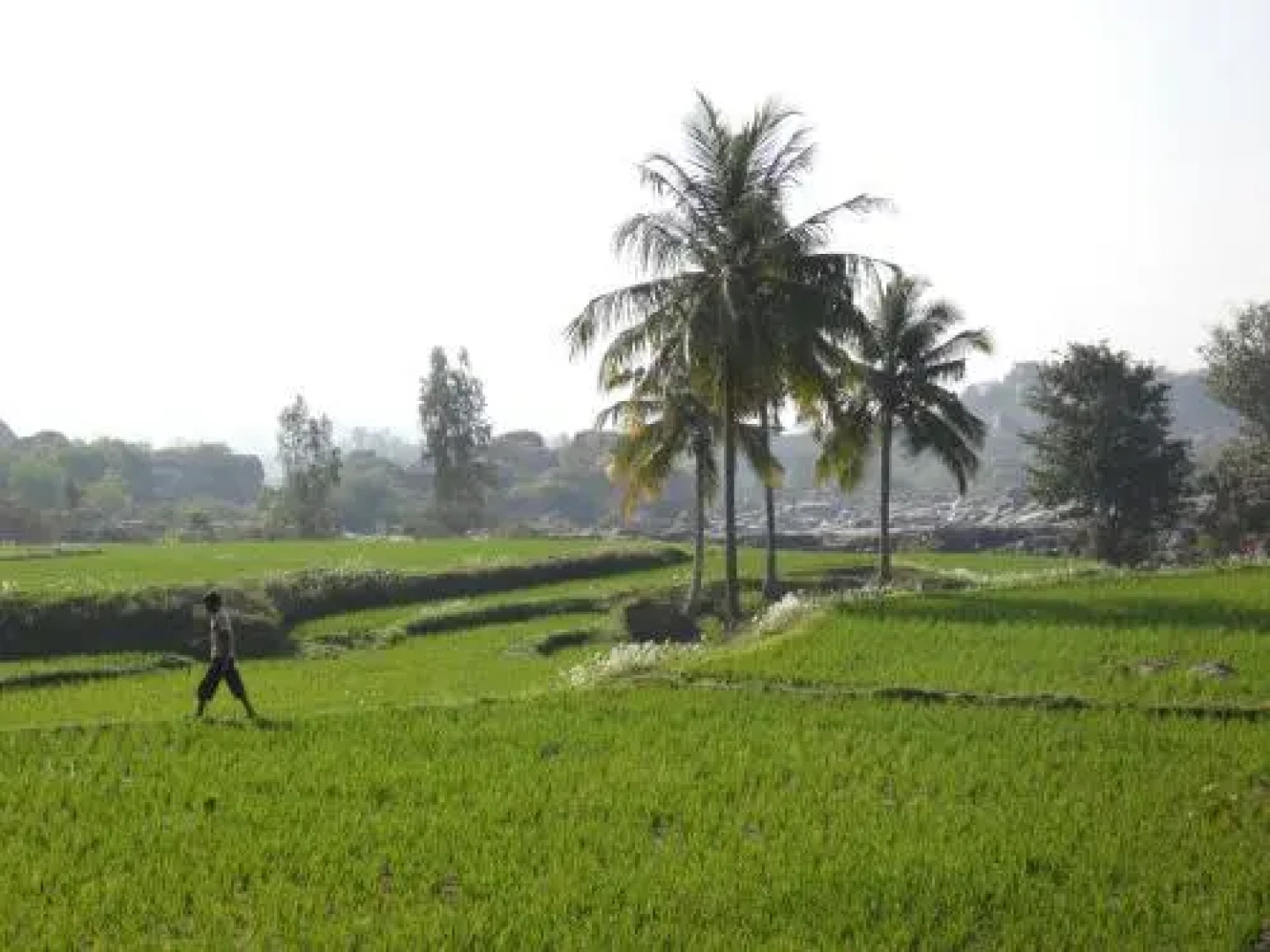 Waterfalls Guesthouse