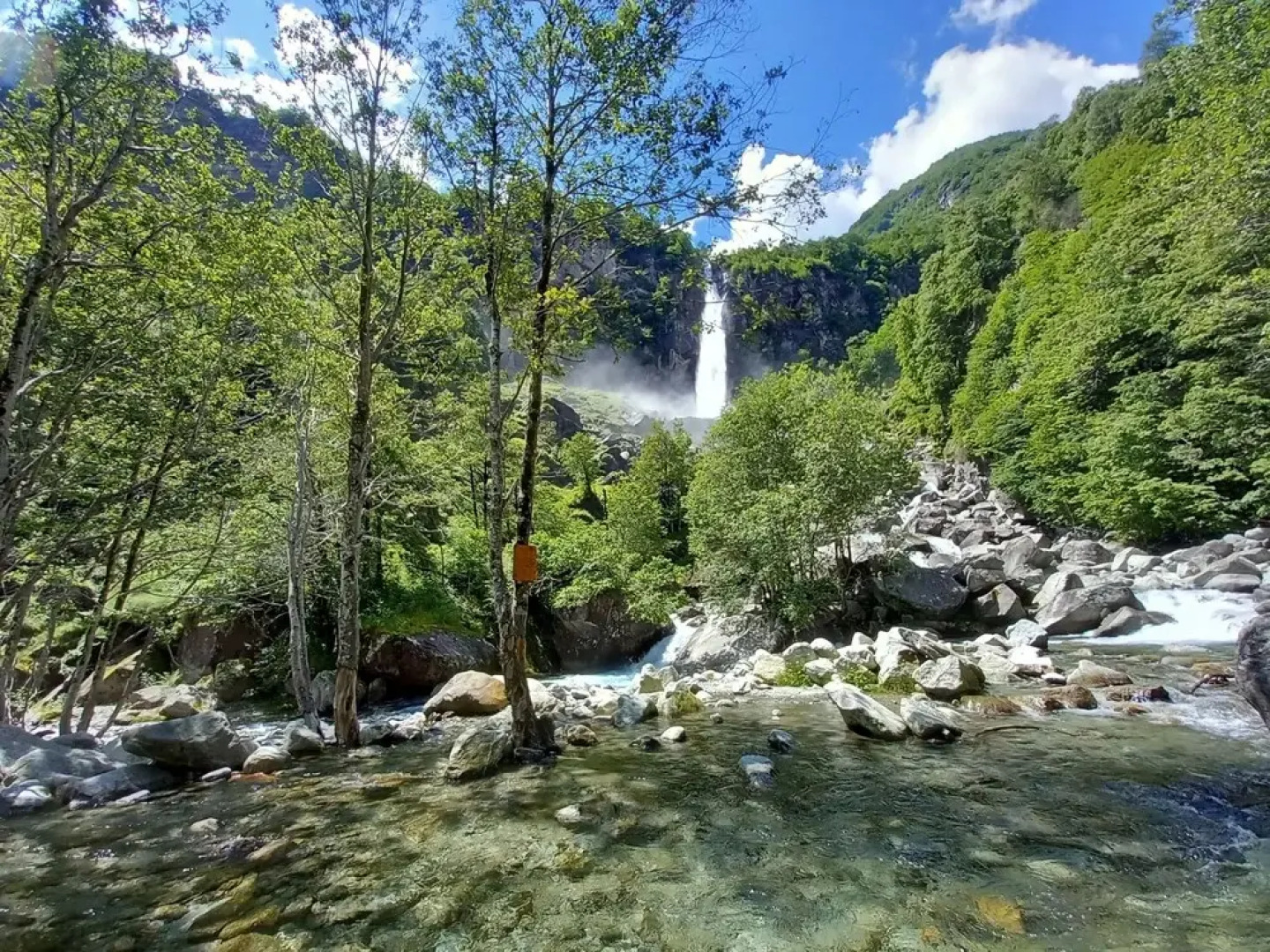 Room in Apartment - Casa Coerente Cavergno Single Room 3