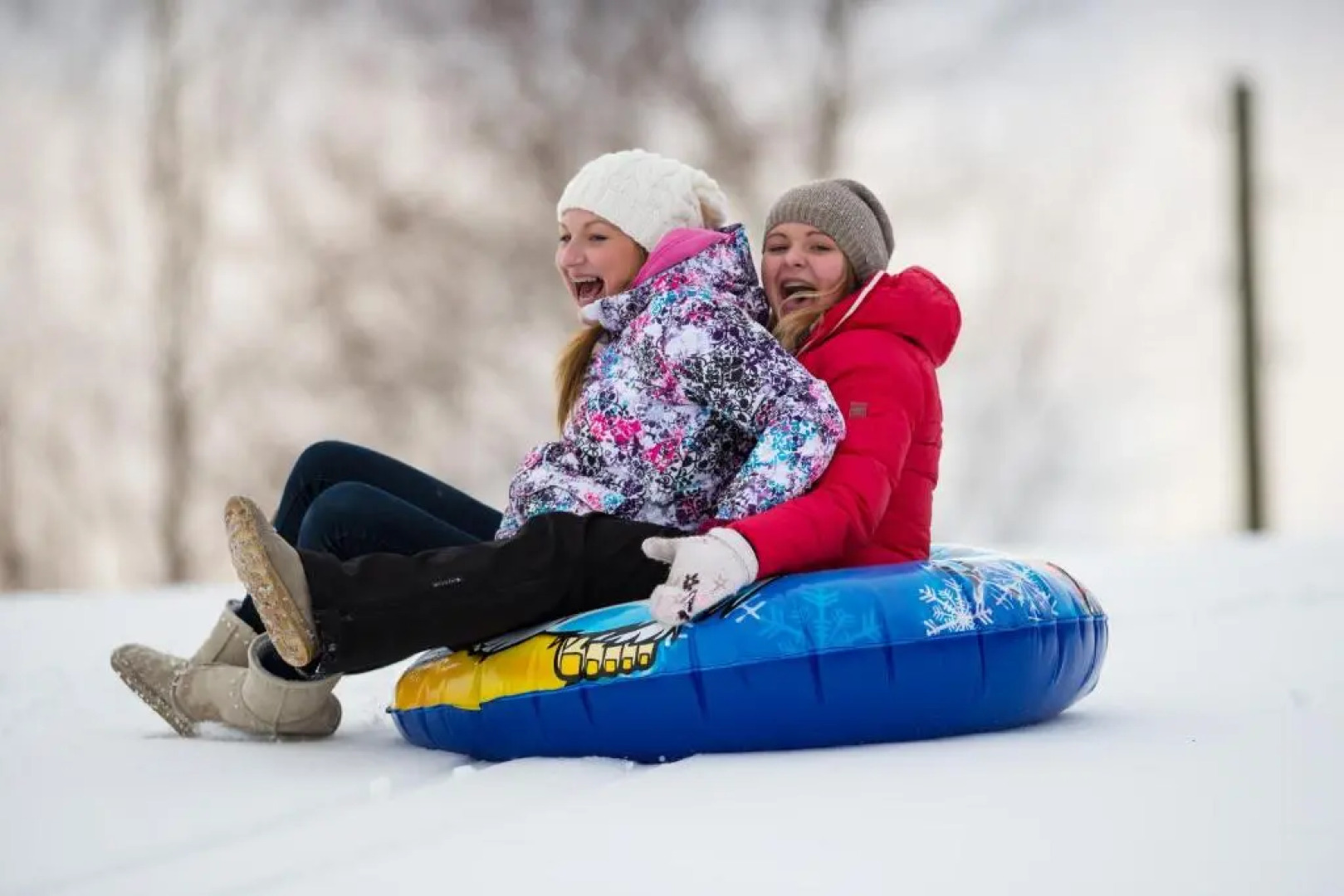 Vasekoja Holiday Home