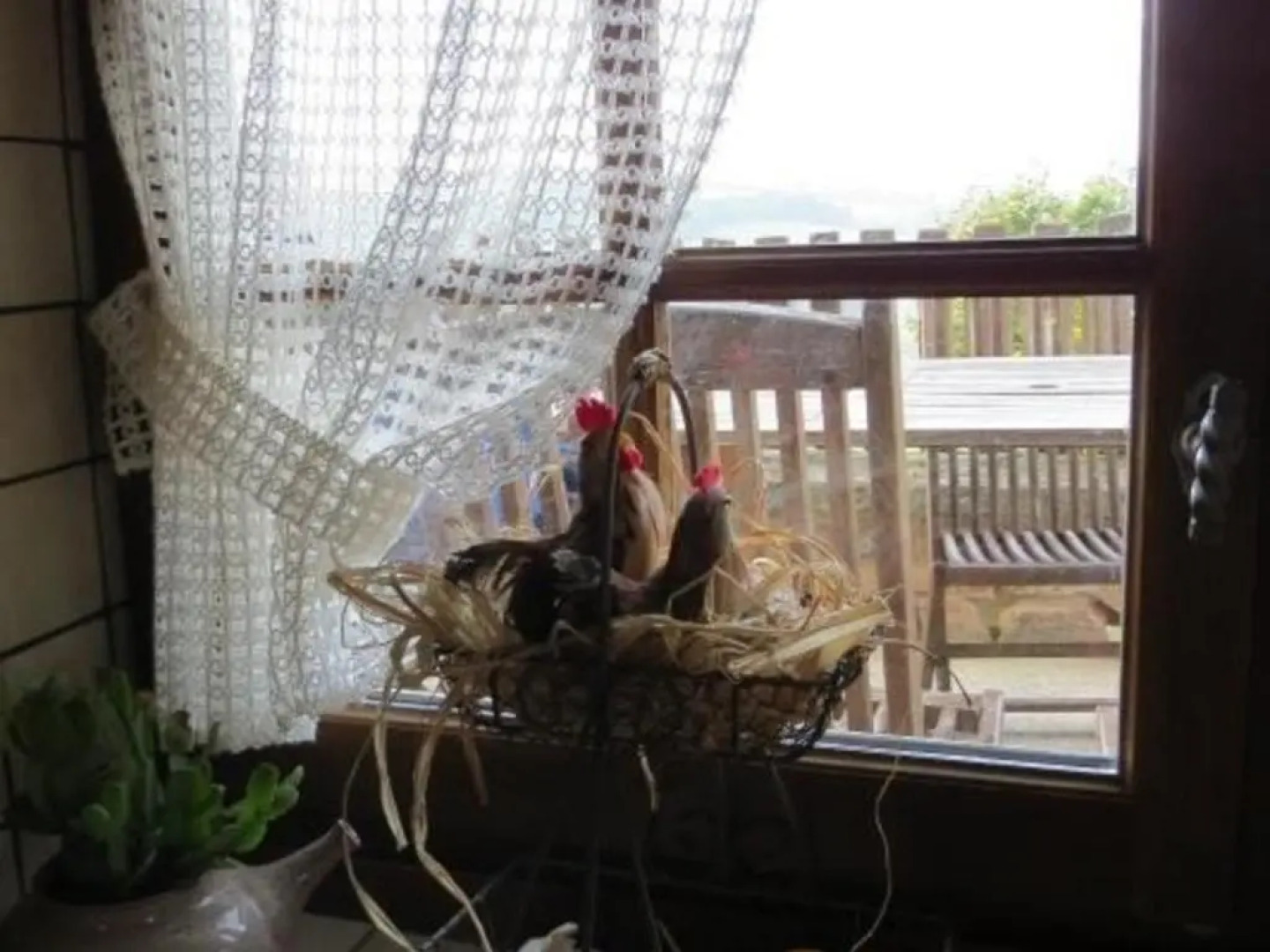 Gîte Chirassimont, 2 pièces, 4 personnes - FR-1-496-137