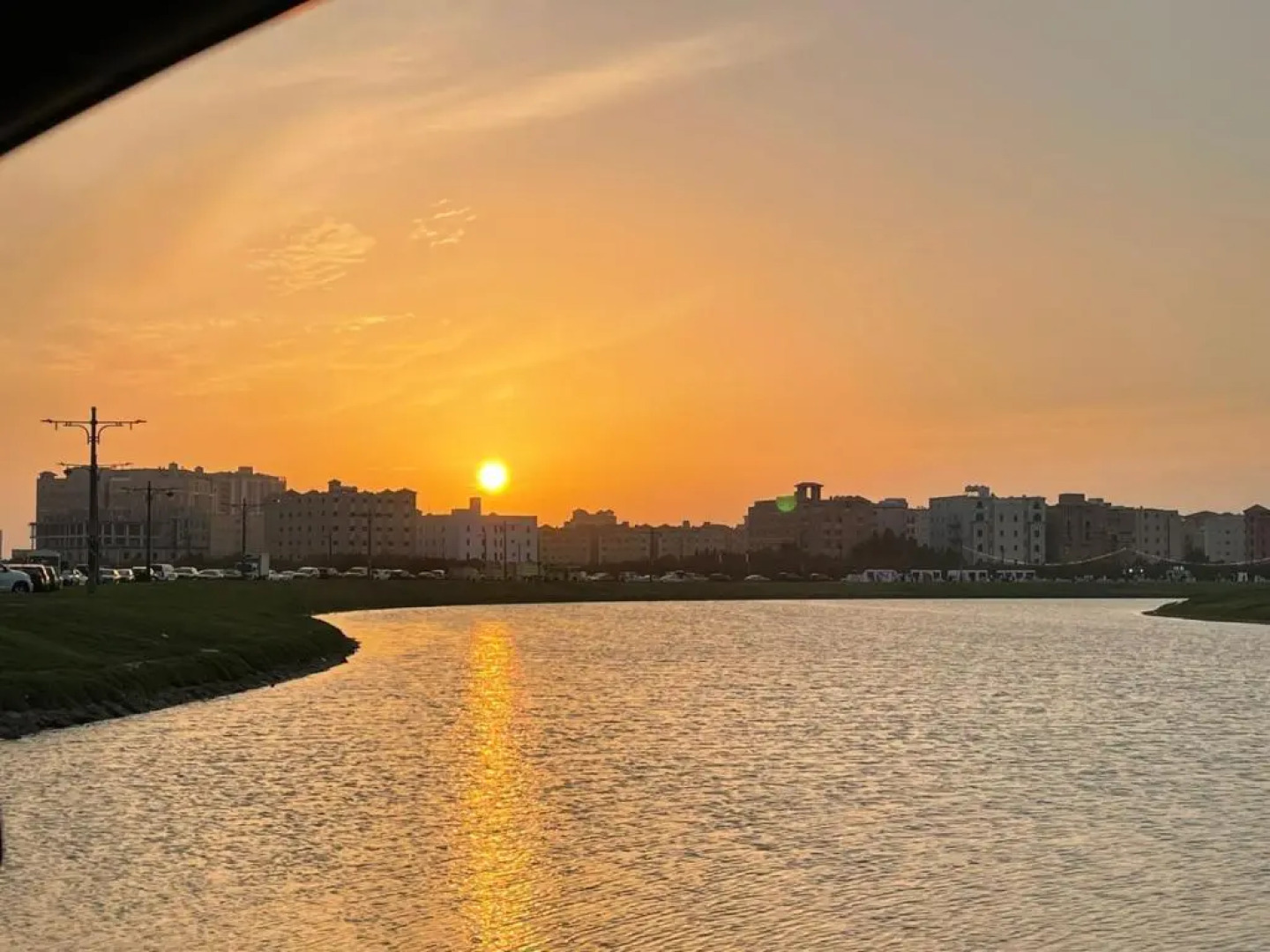 World of Violet فيوليت