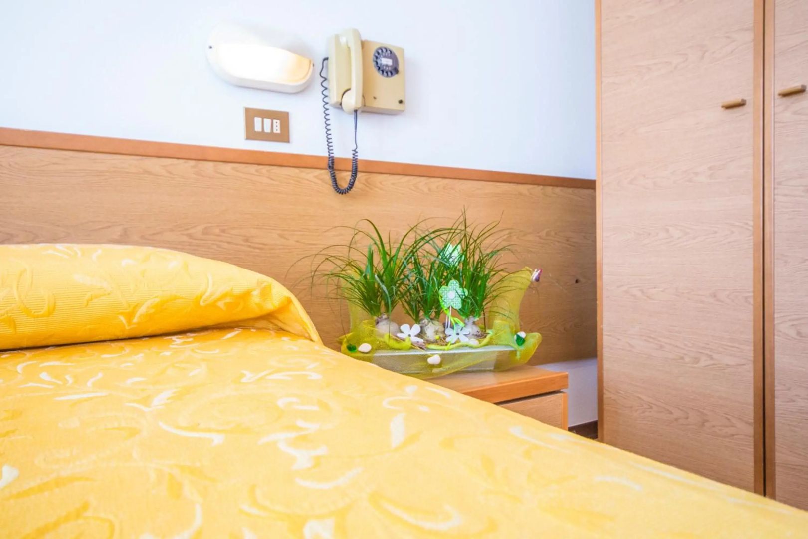 Hotel Touring Misano Adriatico