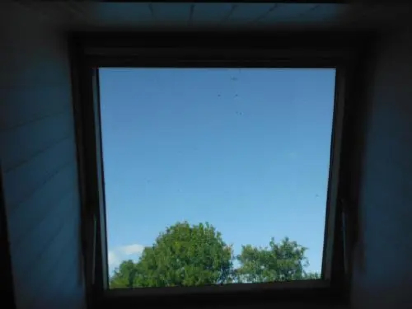 Paddy's Palace Dingle Peninsula Hostel