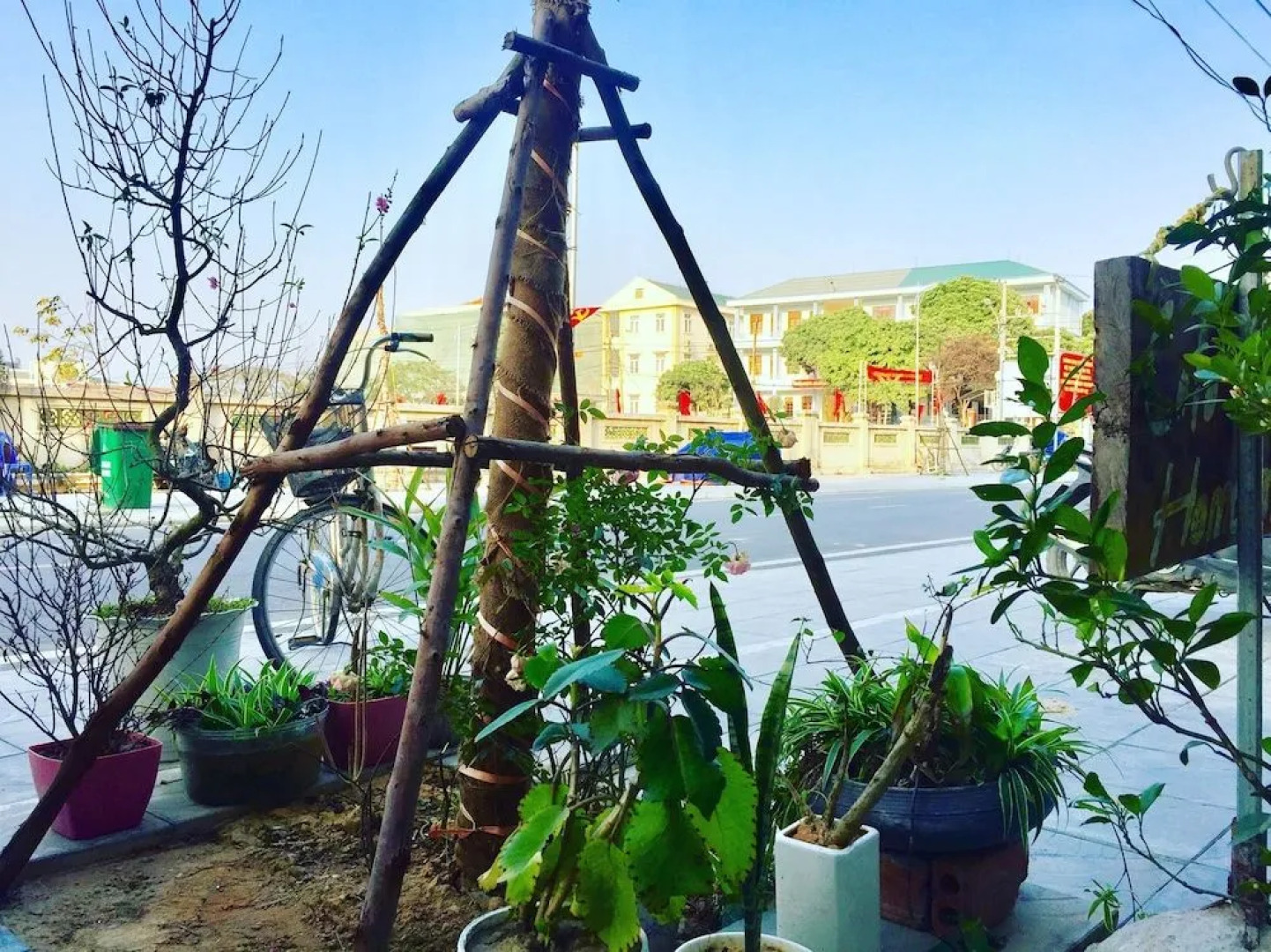 CoTo Family Homestay