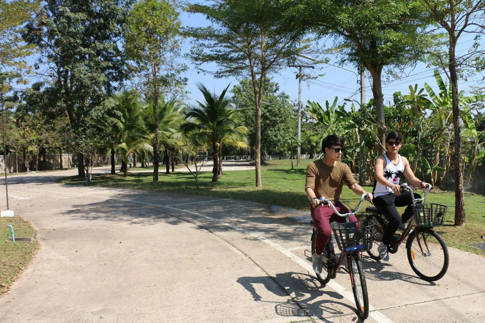 Vana Wellness Resort