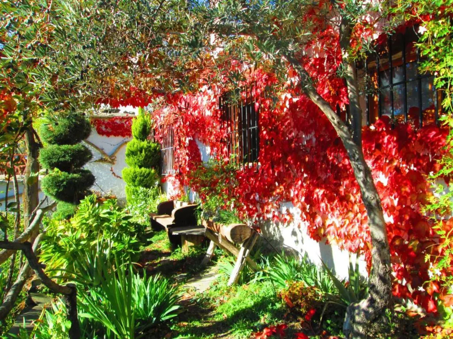 Cortijo Brazal La Ventaja