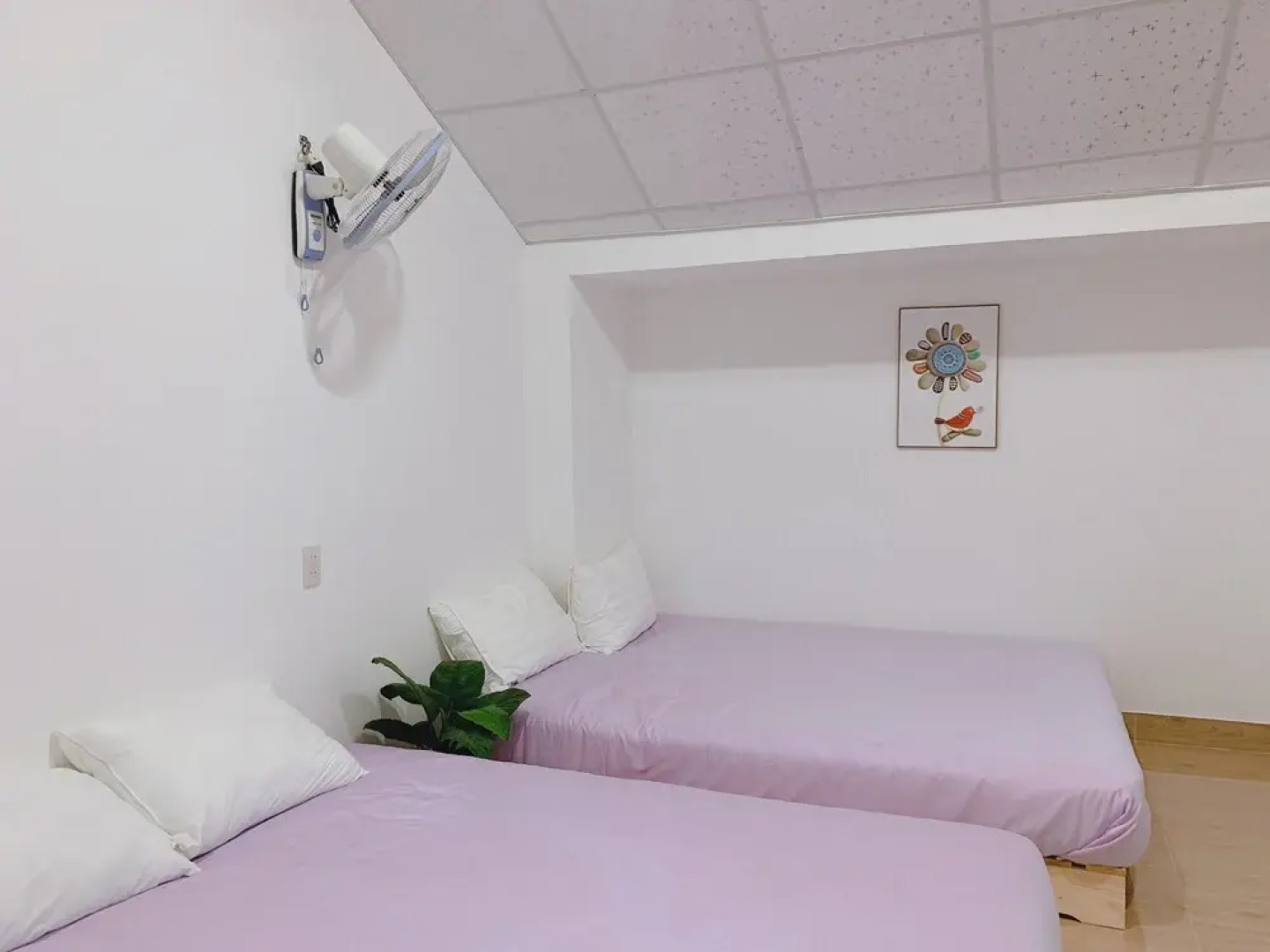 Yen Homestay Phu Yen