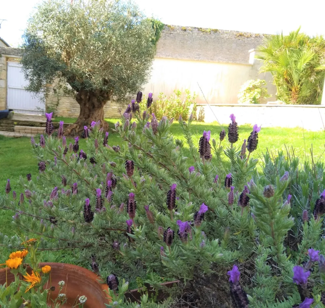 Villa Athéna,séjour bien-être et éthique