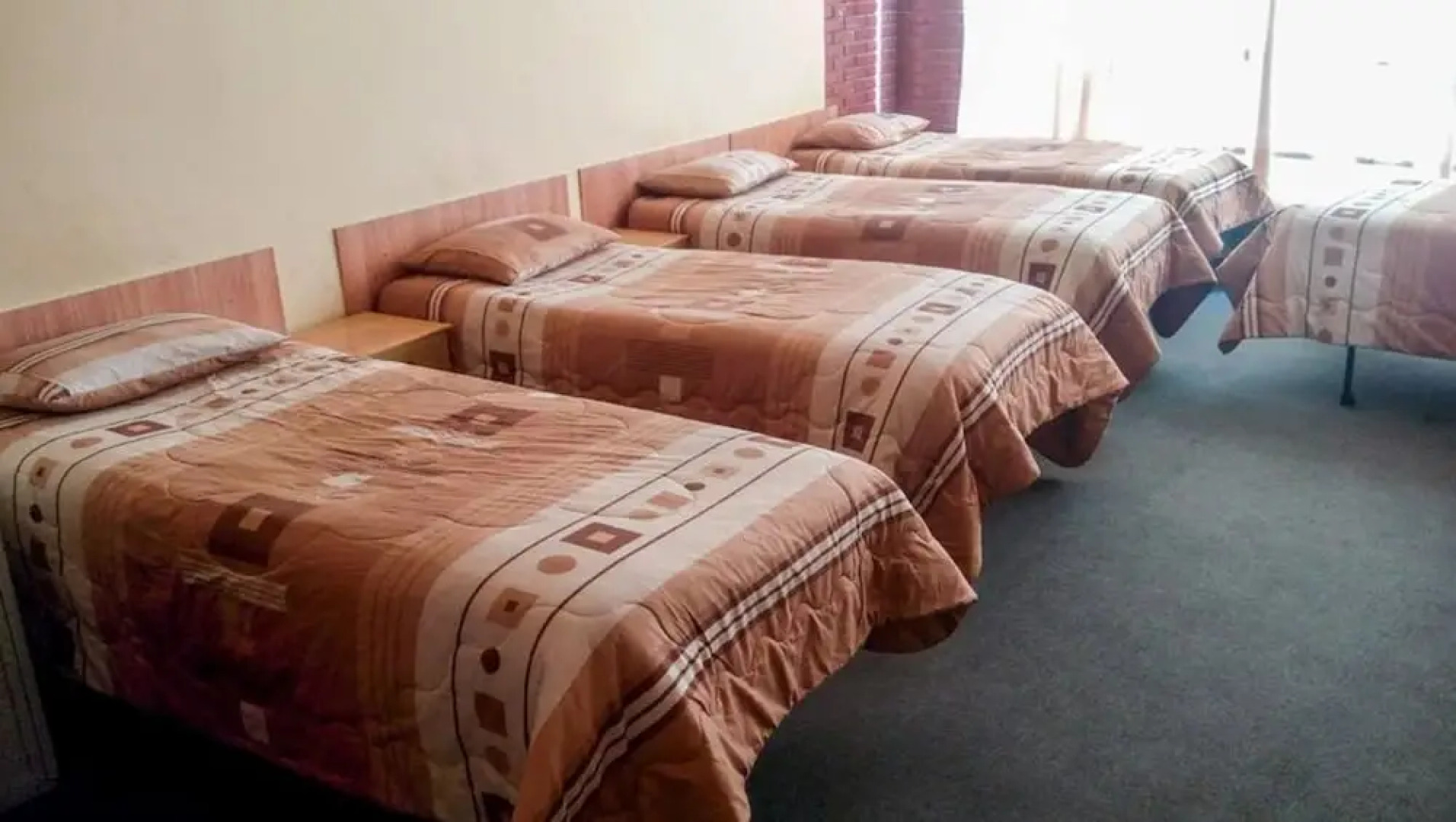 Hostal El Lobo - Hostel