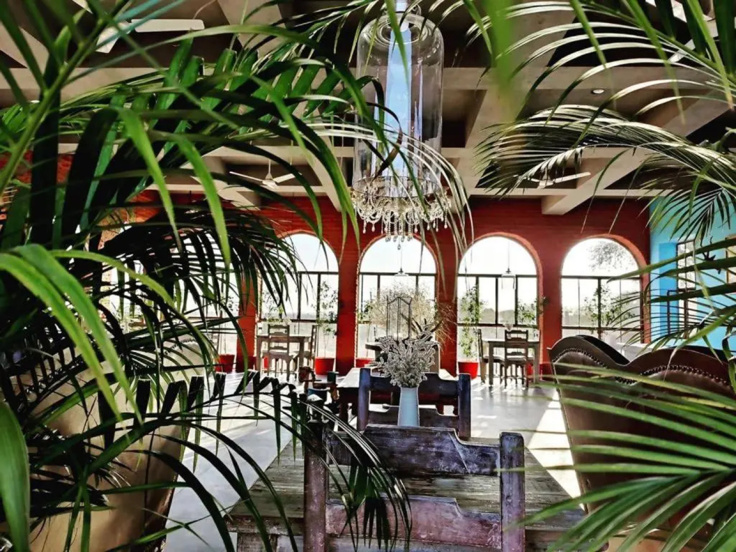 Kaner Retreat - India'S First Desert Botanical Resort