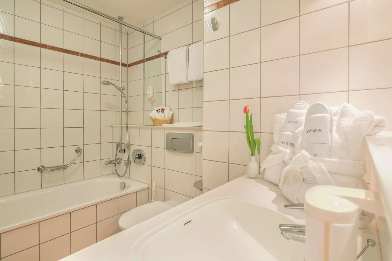 Seminaris Hotel Bad Boll