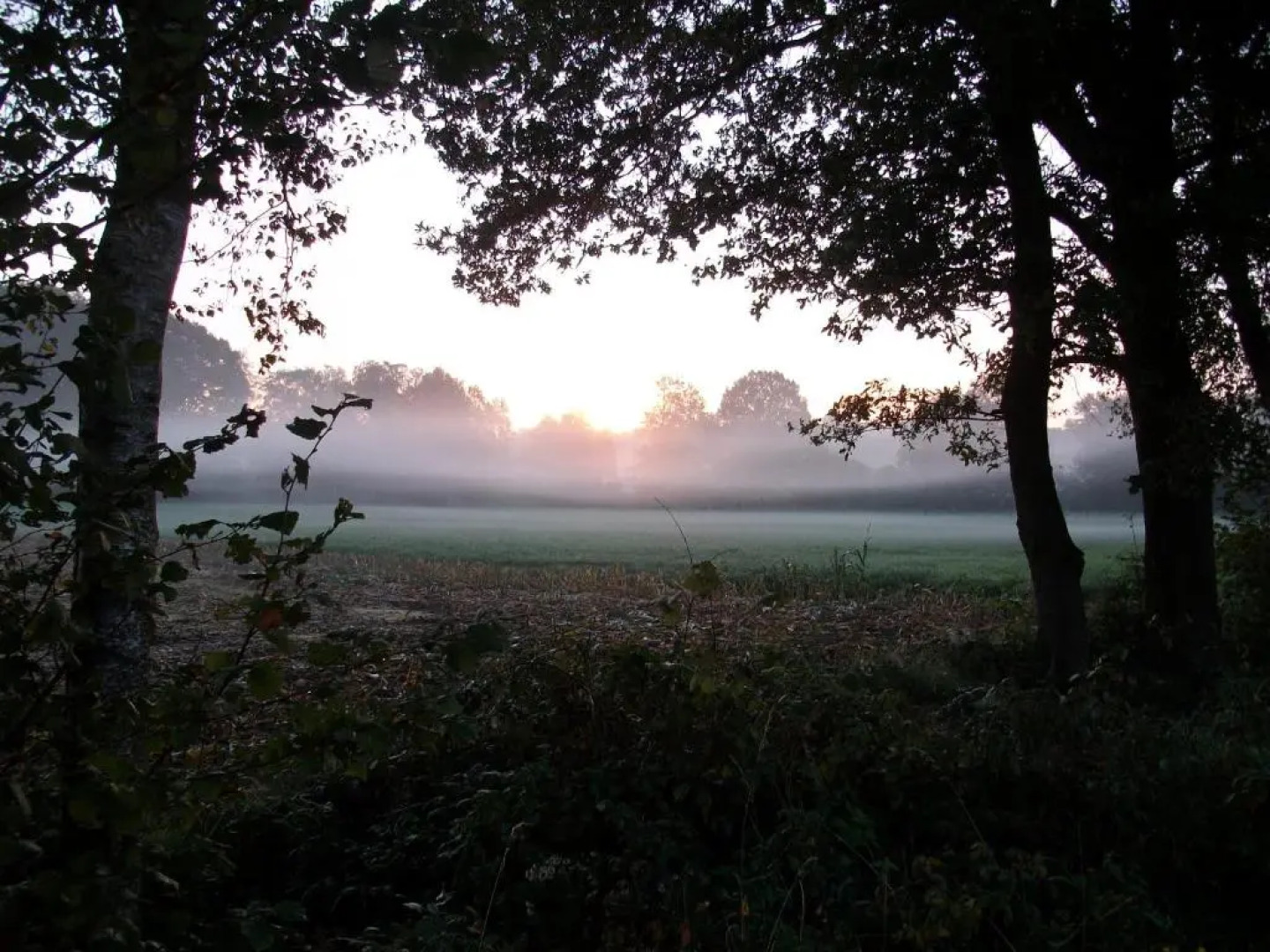 barrierefreies Apartment